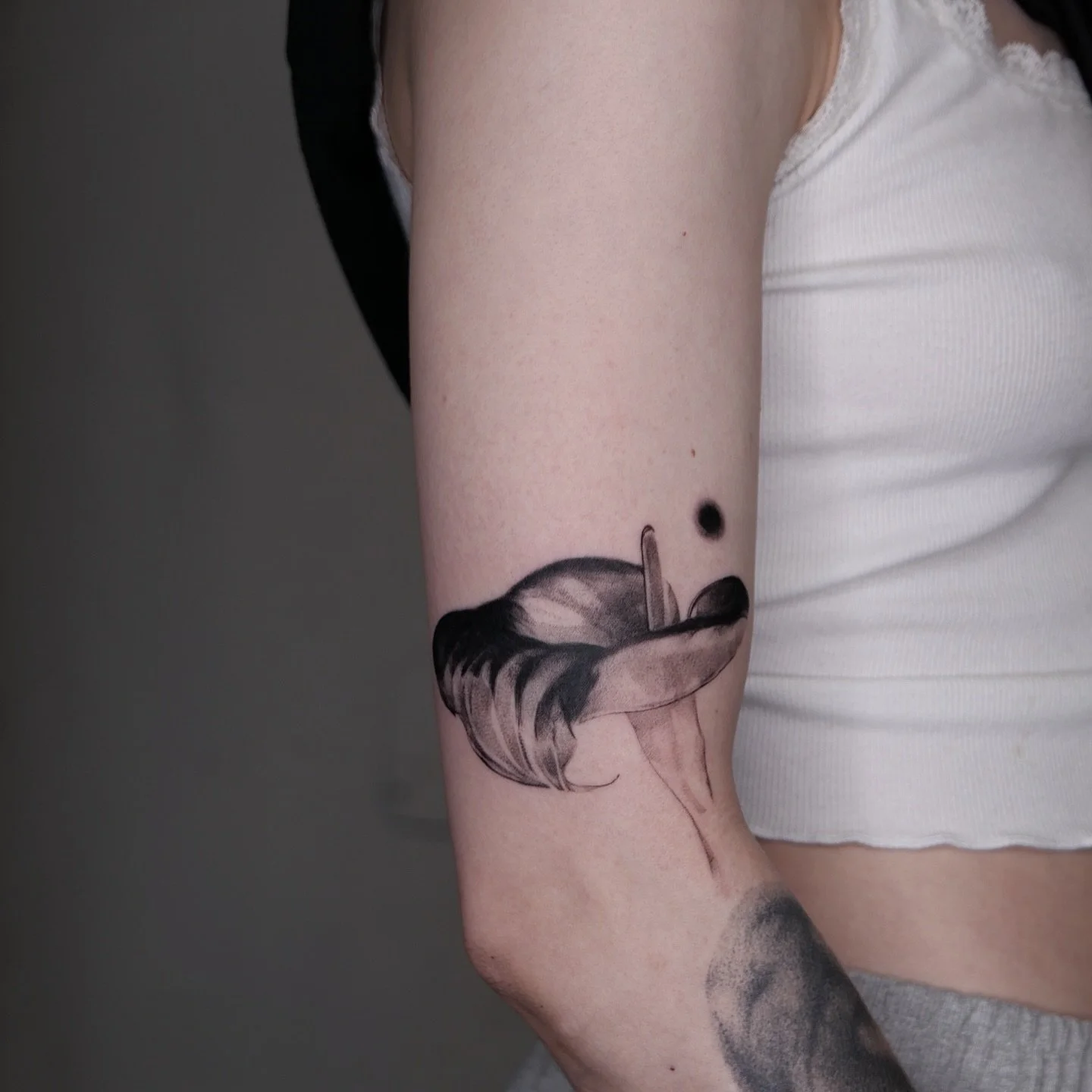 Calla lily, negative - swipe to see the inverted version 
More available designs in highlights and through the link in bio

Booking now open:

Honolulu HI / 9-13 of April / @kapwa.tattoo 
San Francisco CA / 18-22, 28-30 of April / @sashatattooingesse