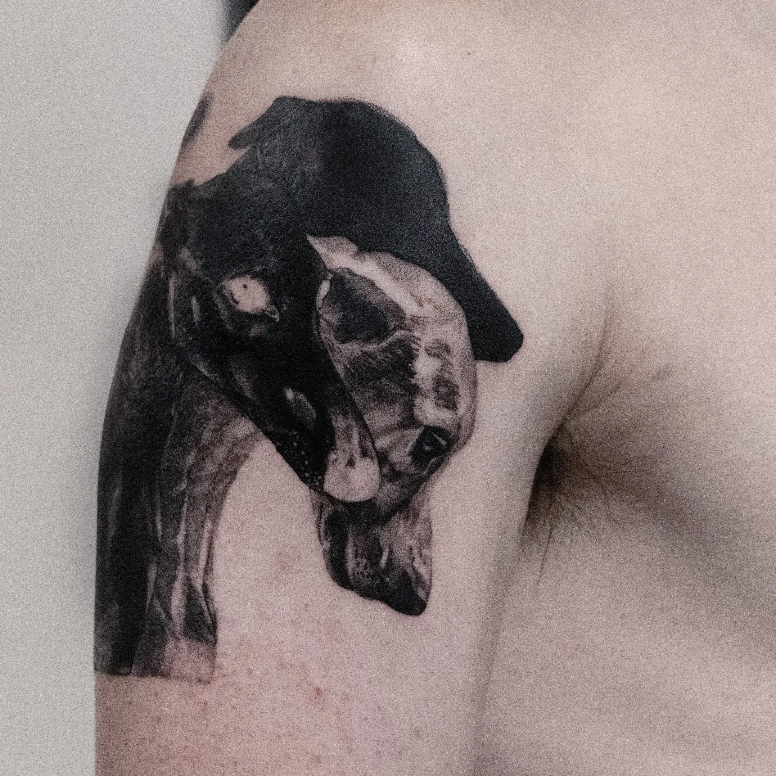 Swipe to see the inverted version
From my catalogue ⛓️ More -- link in bio

BOOKING NOW
San Francisco // June &amp; July @sashatattooingessential
Seattle // 13-16 June @finetattoostudios 
Boston // 6-12 July
Portland OR // 13-18 July @tattoo.kado 
Ne