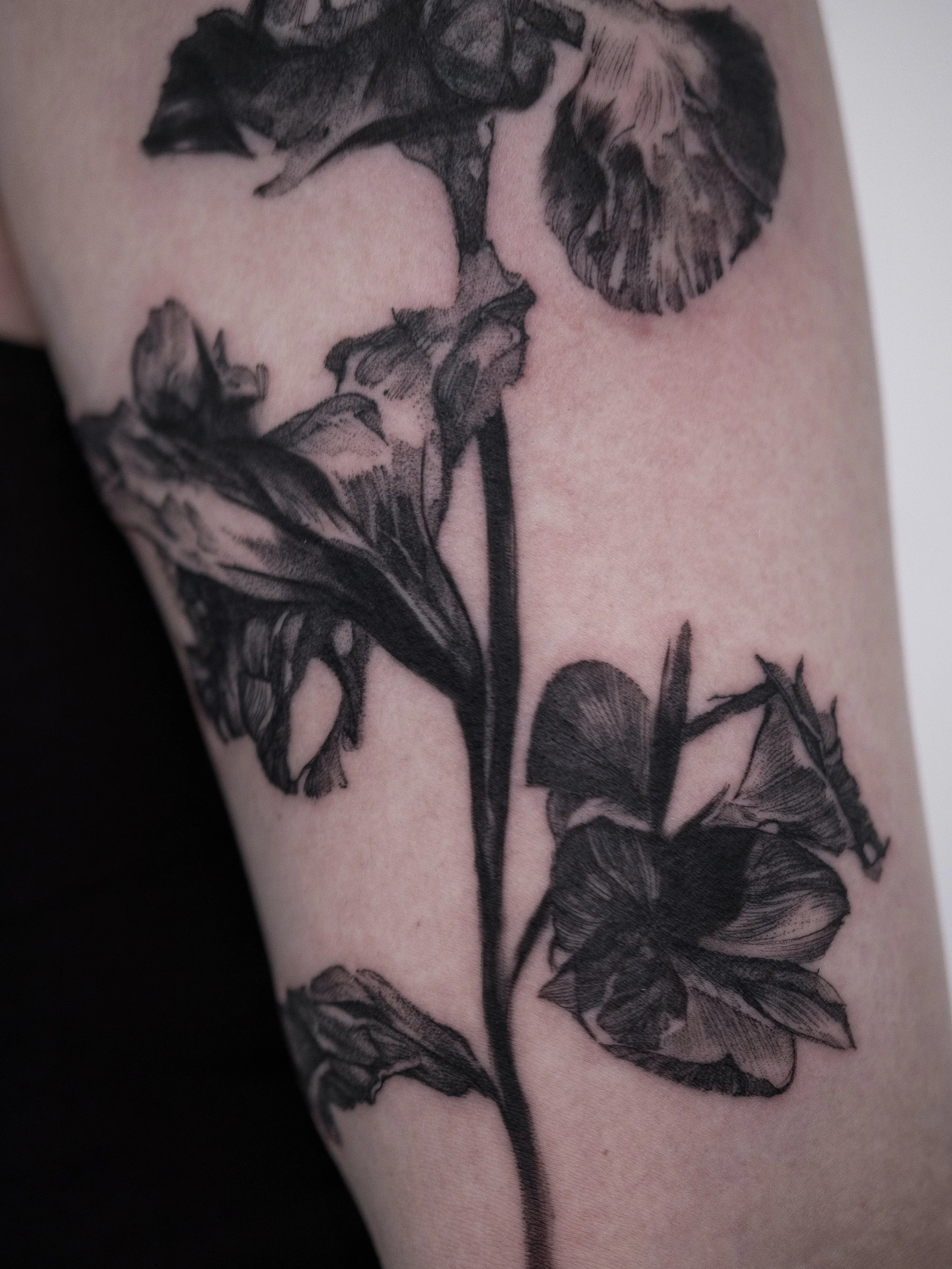 Custom bouquet of wilting flowers 🥀
Done at @sashatattooingessential

BOOKING OPEN
September &amp; October in San Francisco
Sept 17 in Chicago
Sept 19 &amp; 20 in Washington DC
Waitlist open for NYC

Designs and booking - link in bio ⛓️

#surrealism