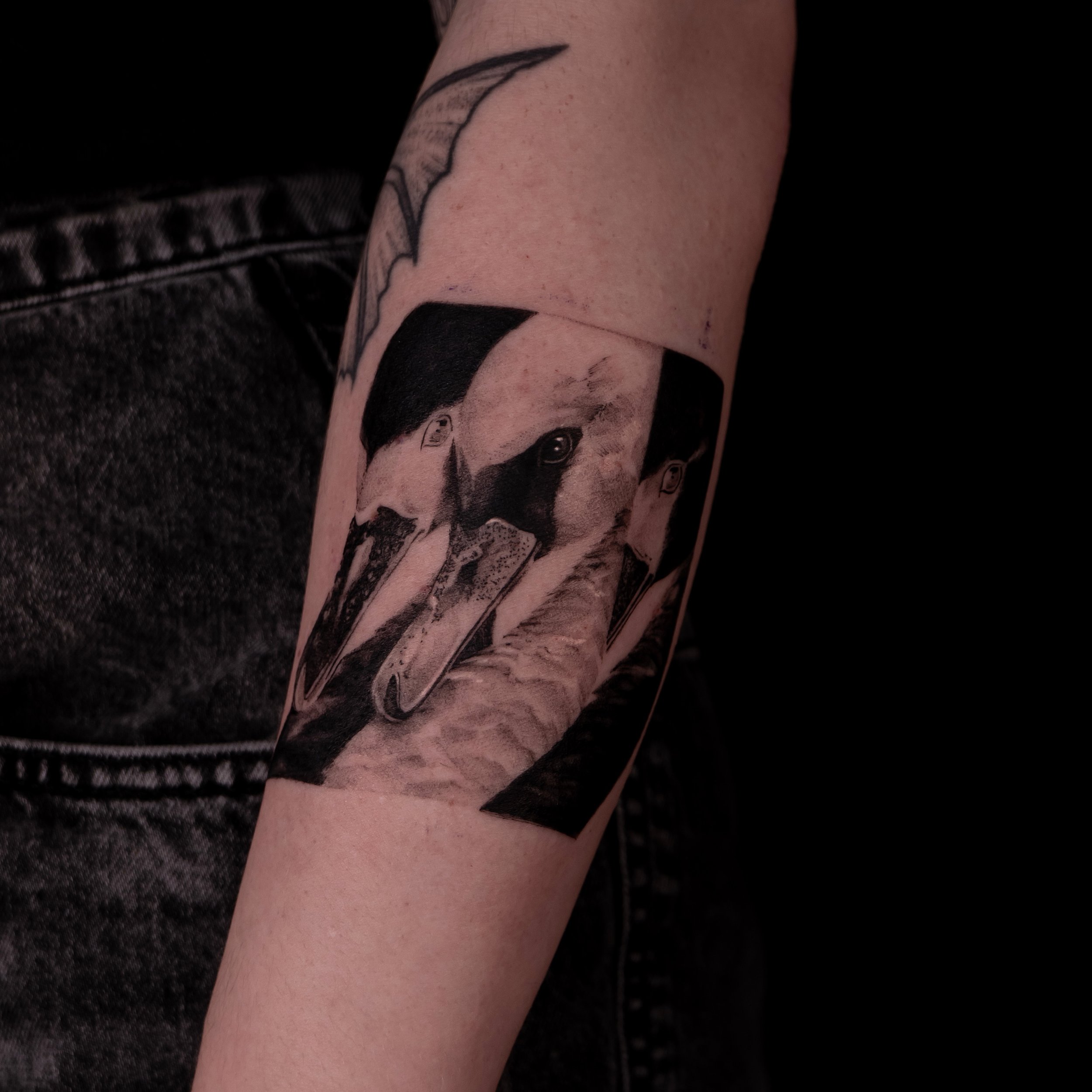 Inverted swans from my catalogue 🦢
More designs and booking - link in bio

Booking October and November in San Francisco
Waitlist available: NYC, DC, Boston, Portland OR, LA

#surrealismtattoo #swantattoo #invertedtattoo #sanfranciscotattoo