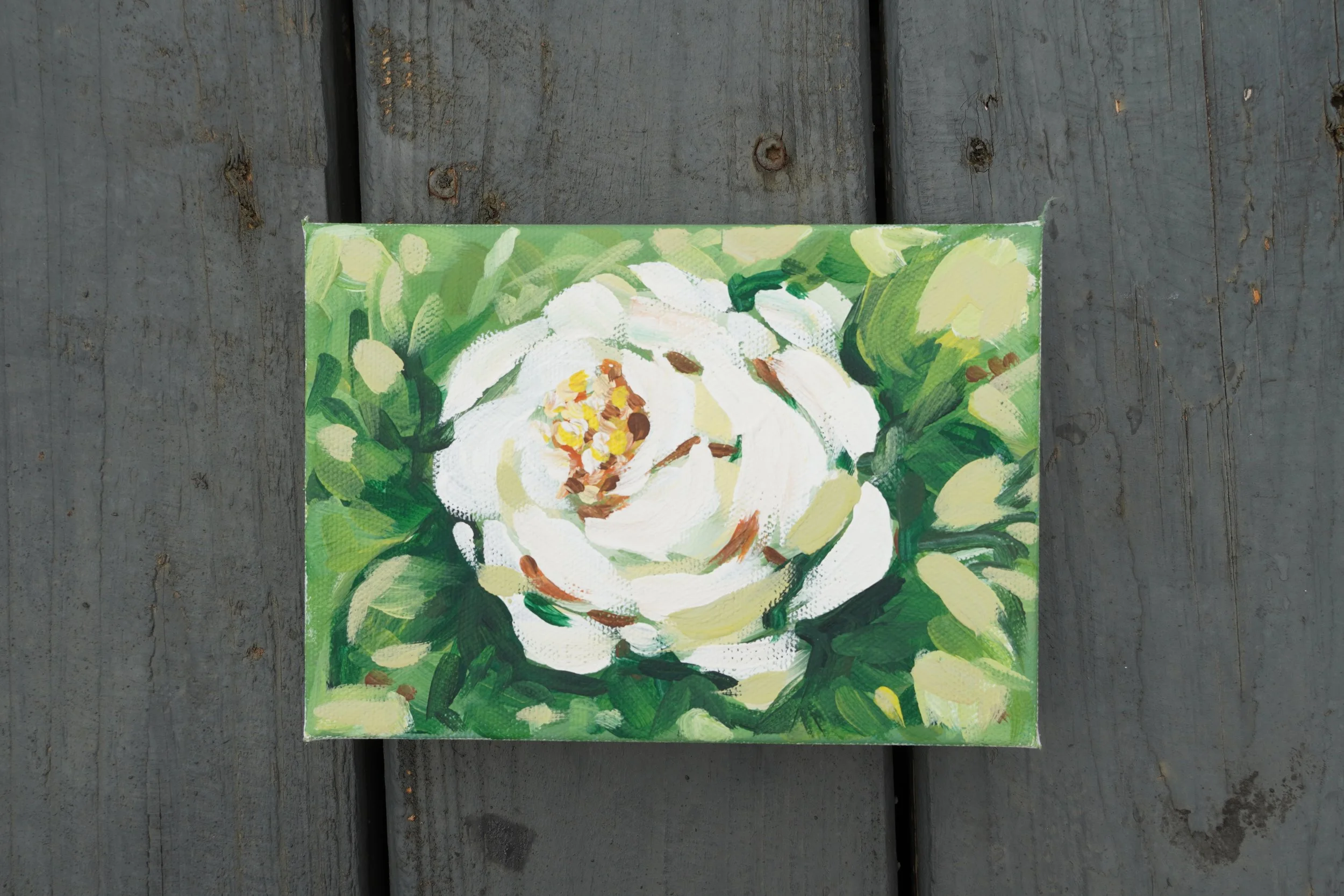 White Whisper PRINT 4x6