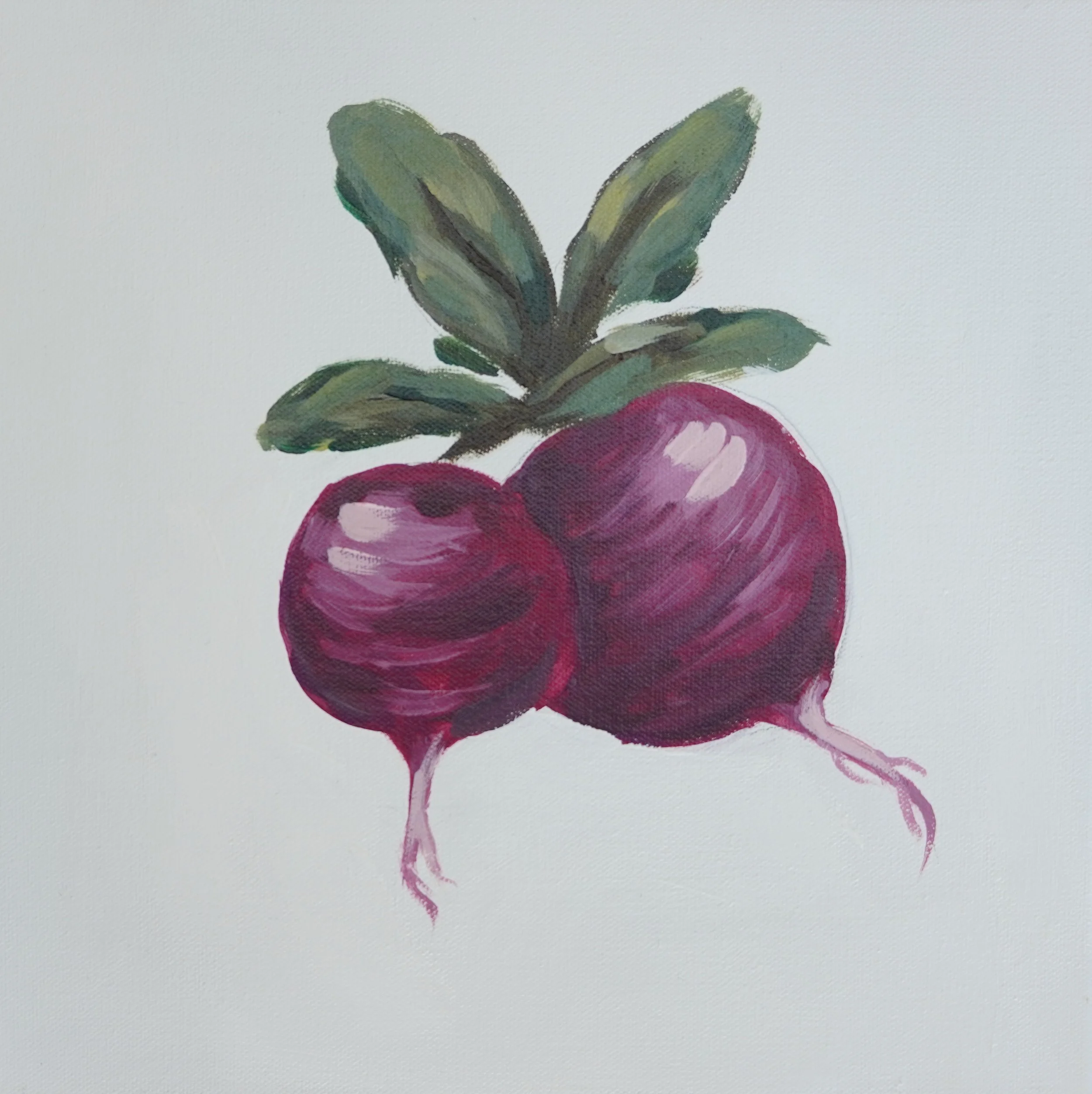 Chioggia Beets