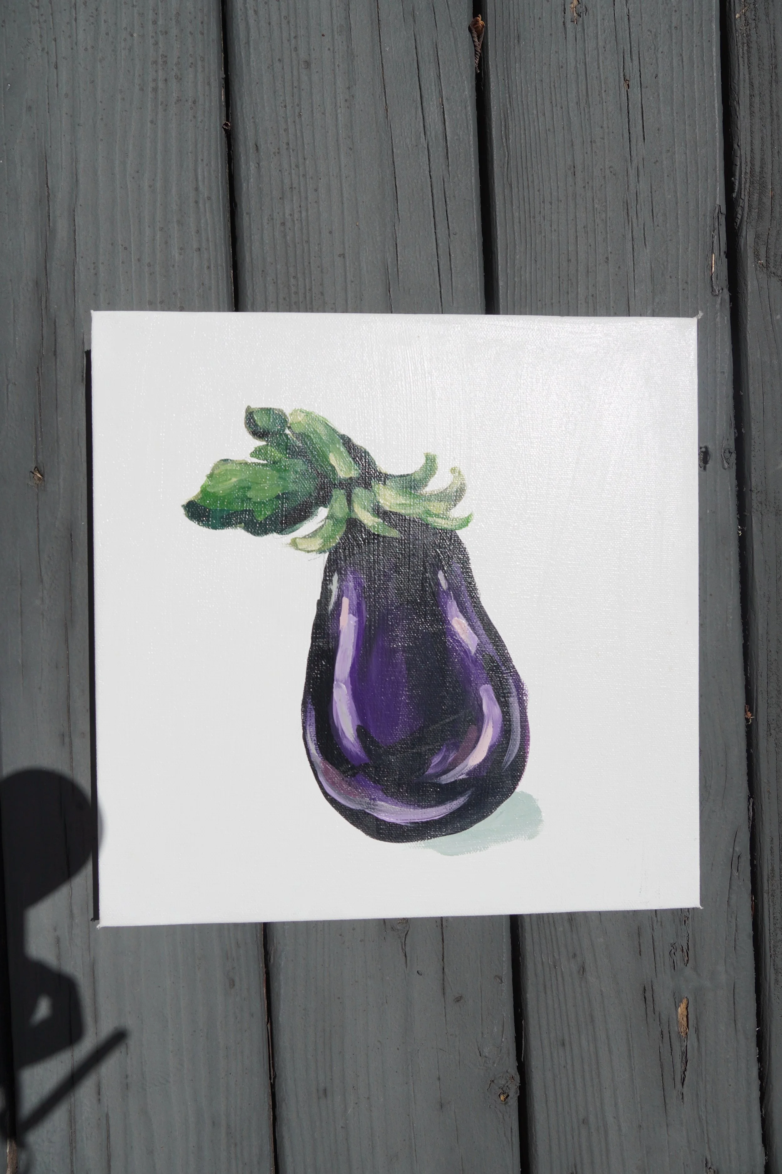 Garden Eggplant
