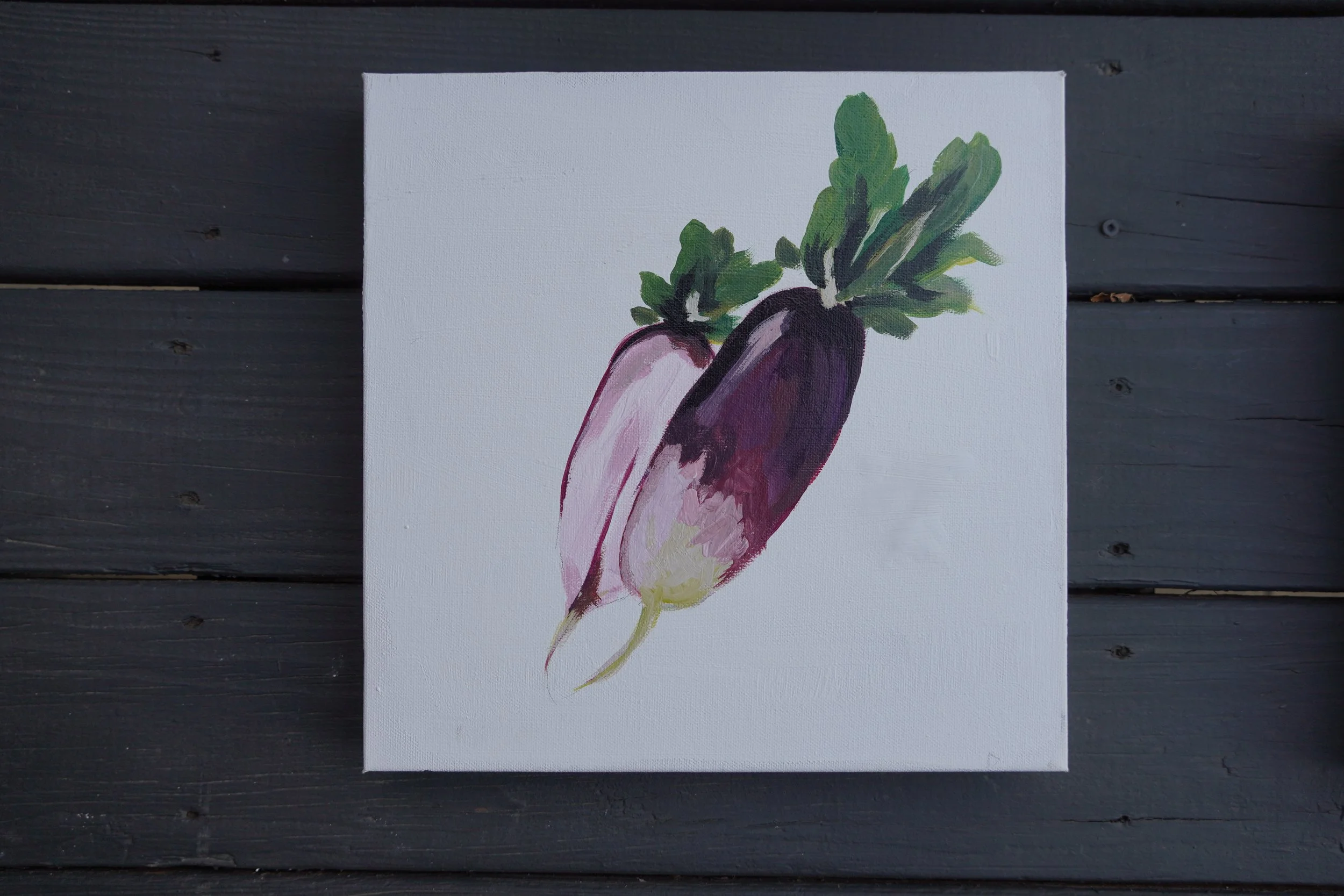 French Breakfast Radishes