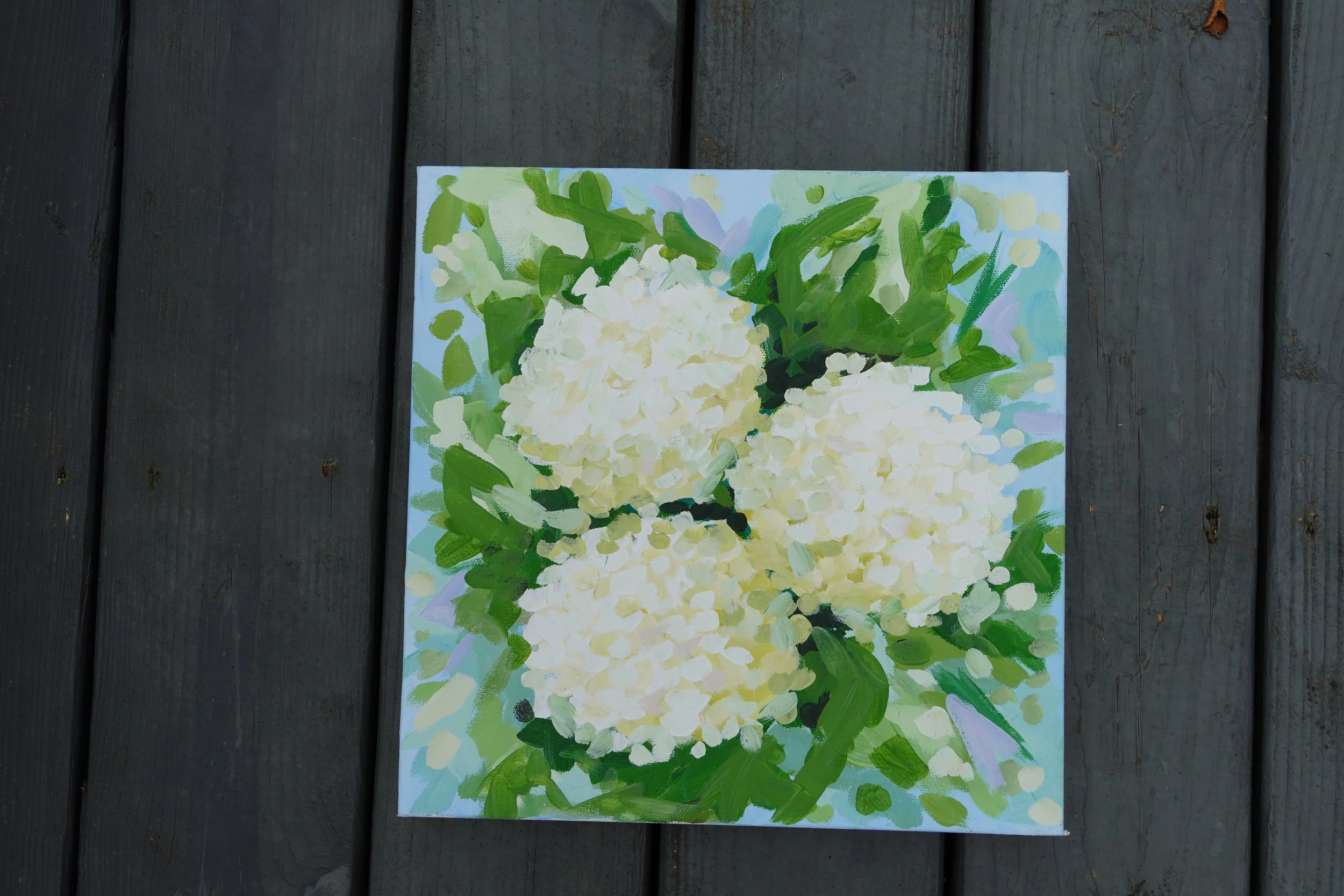 Hydrangea Heaven