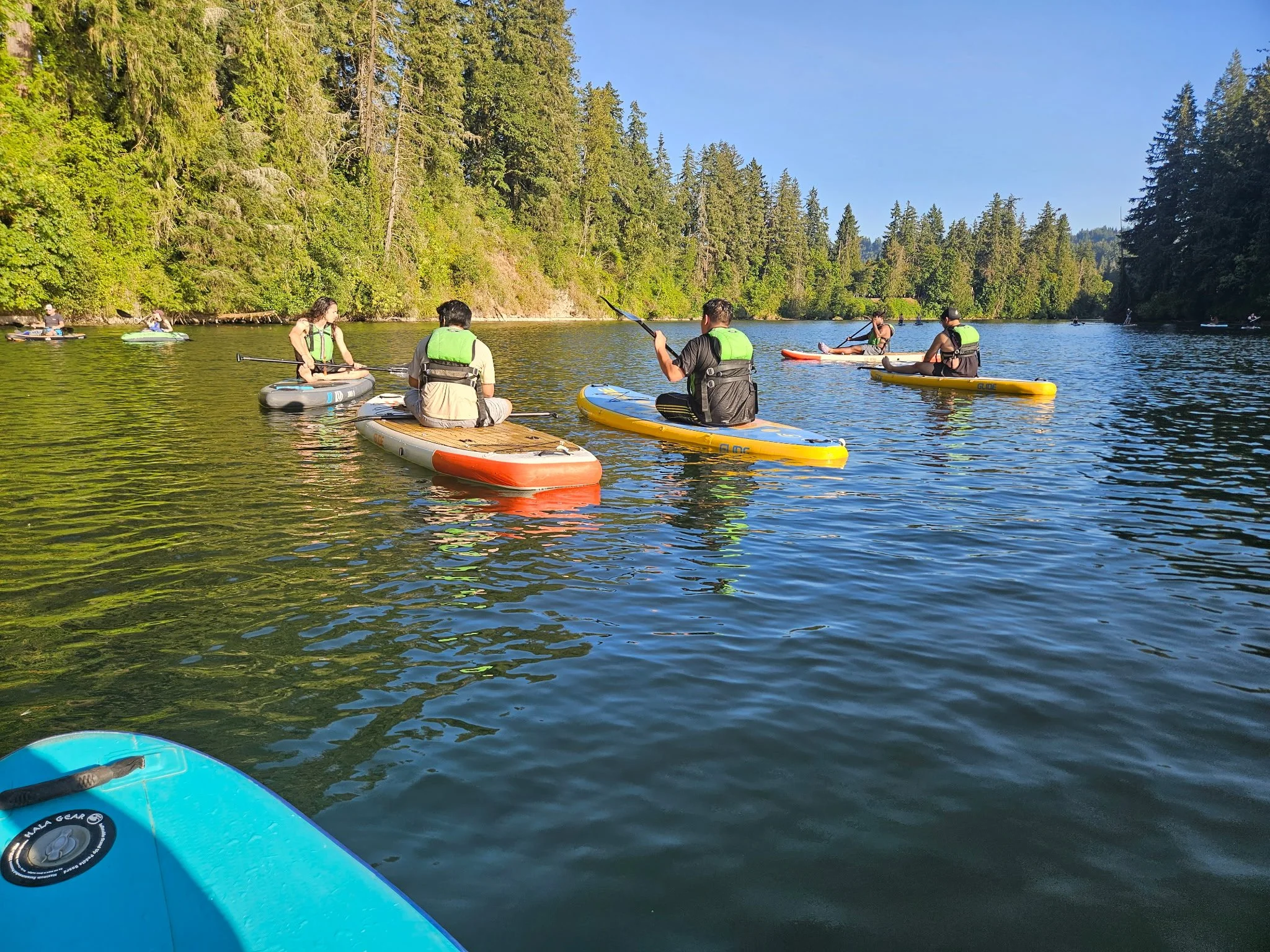People paddleboarding on a calm river surrounded by trees on a sunny day.