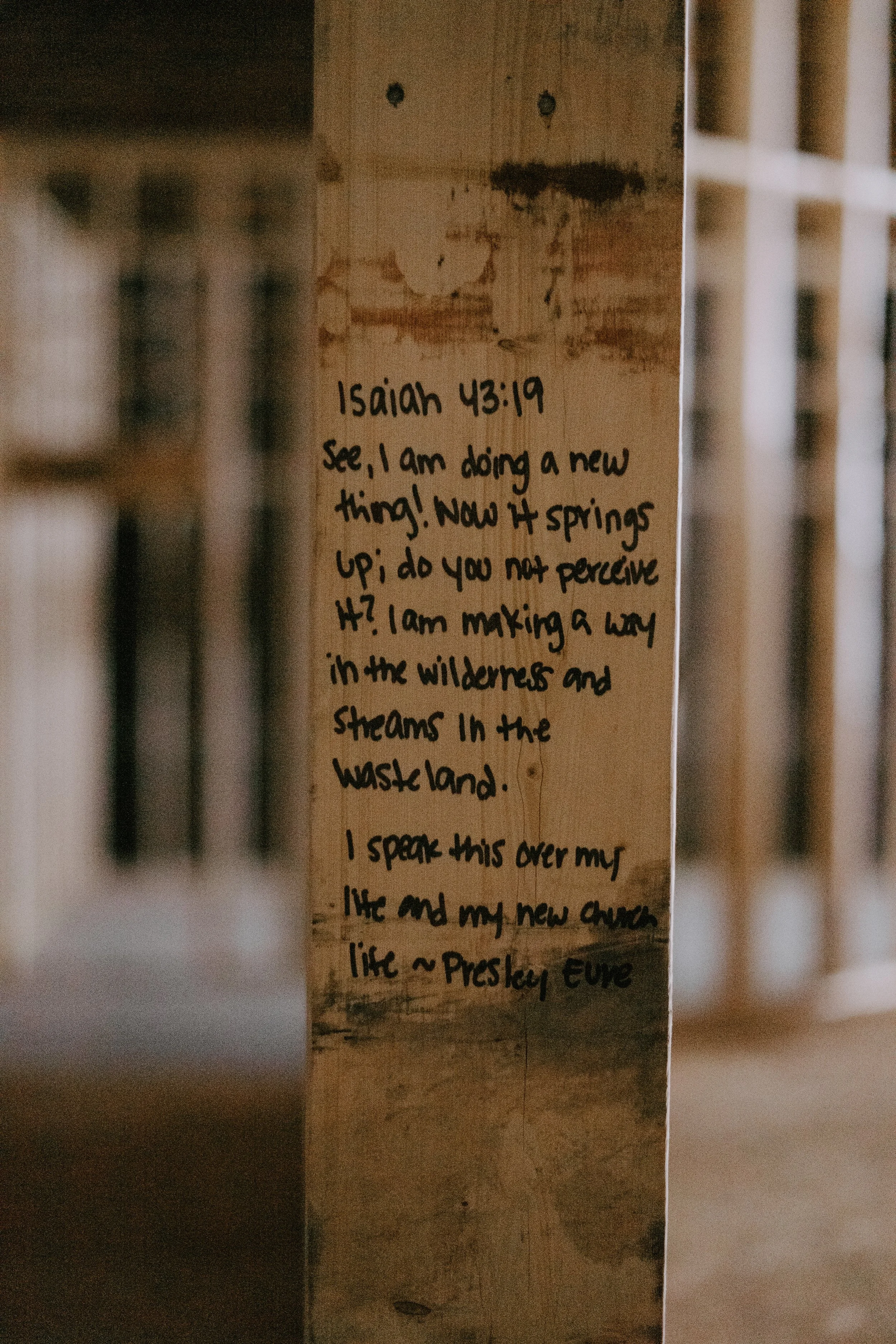 _DSC6132.jpeg