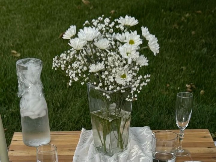 fresh flowers daisy