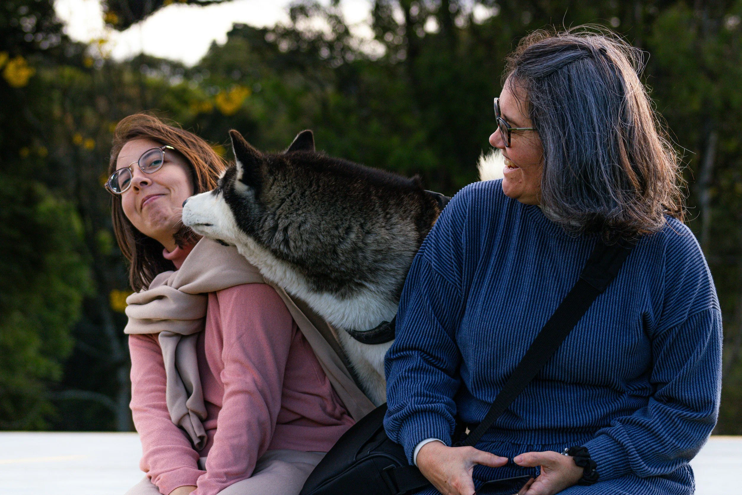 Two women and a Siberian Husky dog outdoors. One woman with glasses, wearing a pink top and beige jacket, is playfully reacting to the dog. The other woman with glasses, wearing a blue sweater, is smiling while holding a camera strap. The dog is nuzzling the woman in pink.