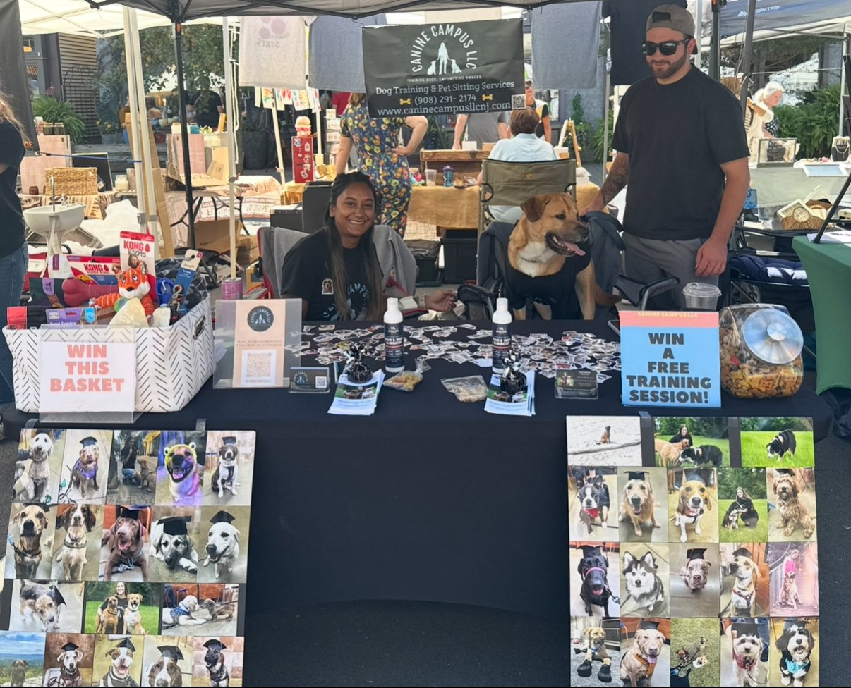 A booth at an event promoting dog training and pet sitting services, with a woman and a man, and a dog sitting at the table. The booth has informational flyers, a raffle basket, and photographs of dogs.