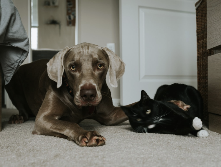 Complete 24 Hour Care Package