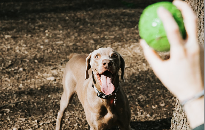 Standard Daily Care Package