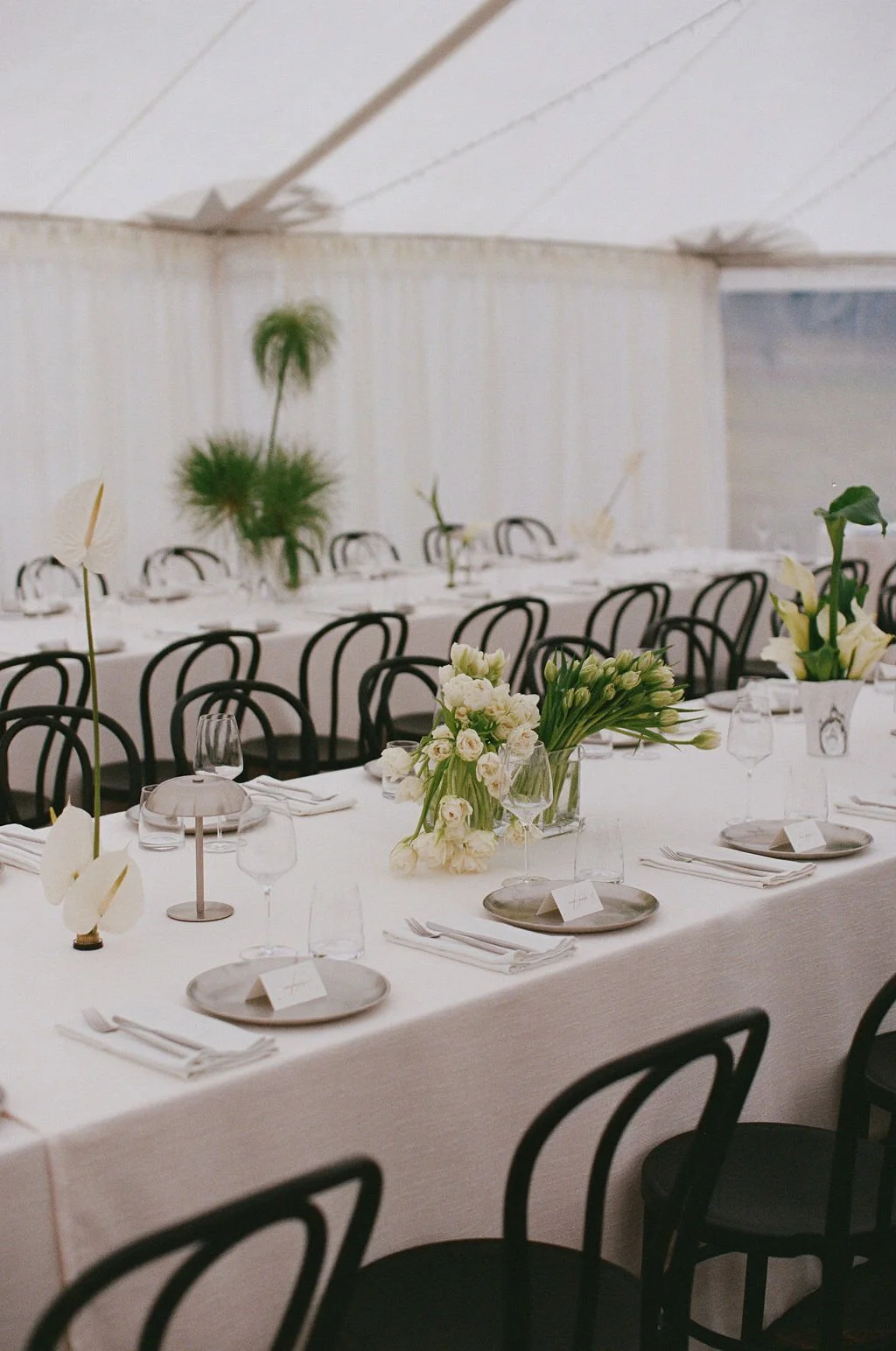 maddyandjoshfilm-99.jpg