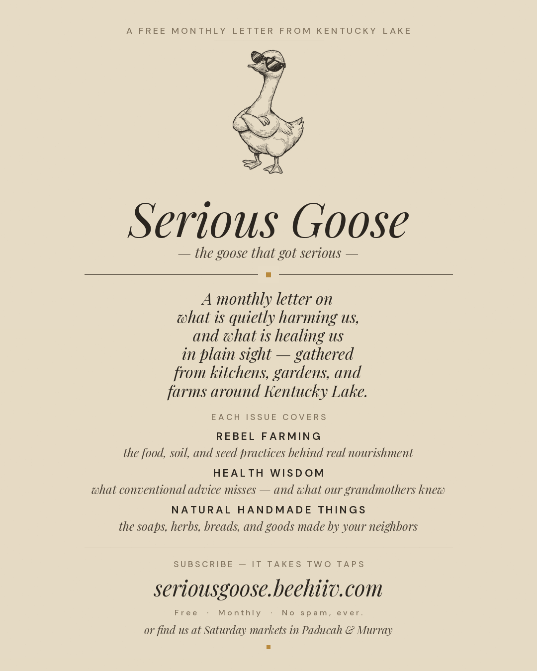 serious_goose_infographic.png