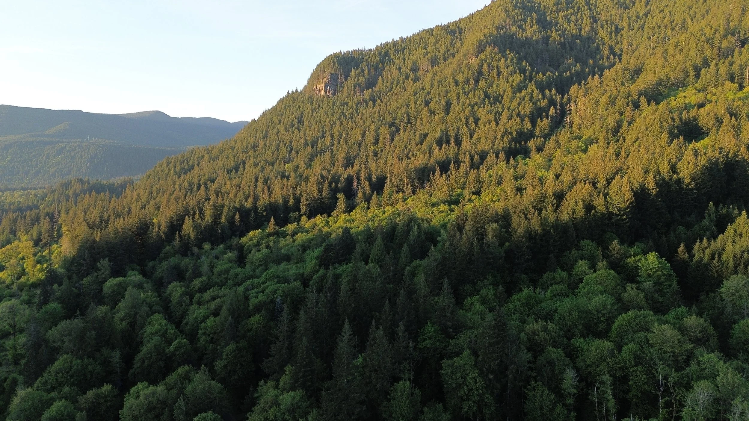 DJI_0024.JPG