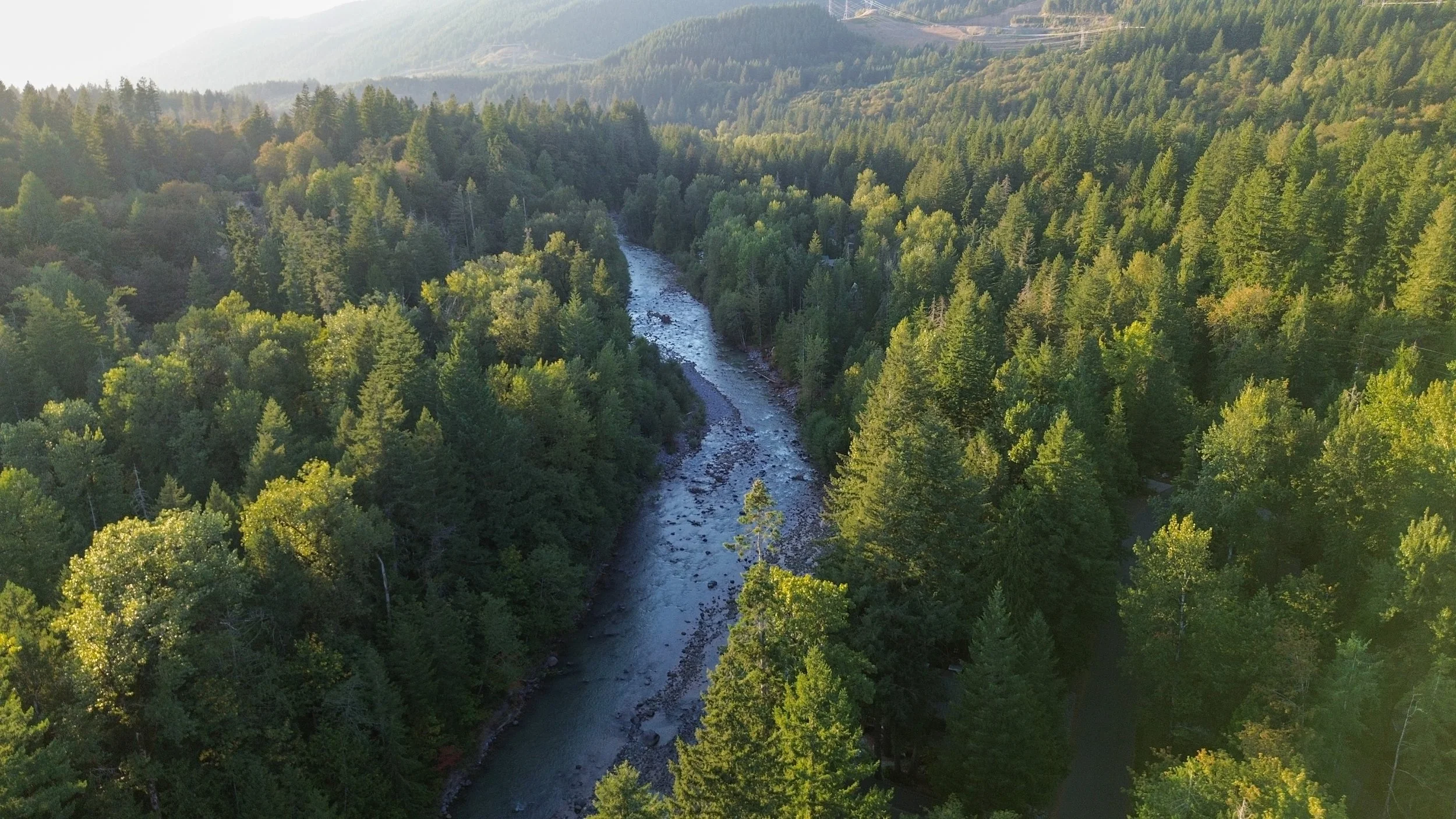 DJI_0246.jpg