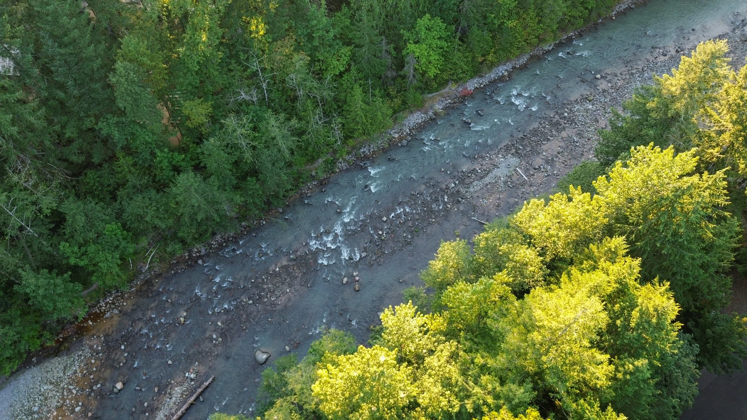 DJI_0252.jpg