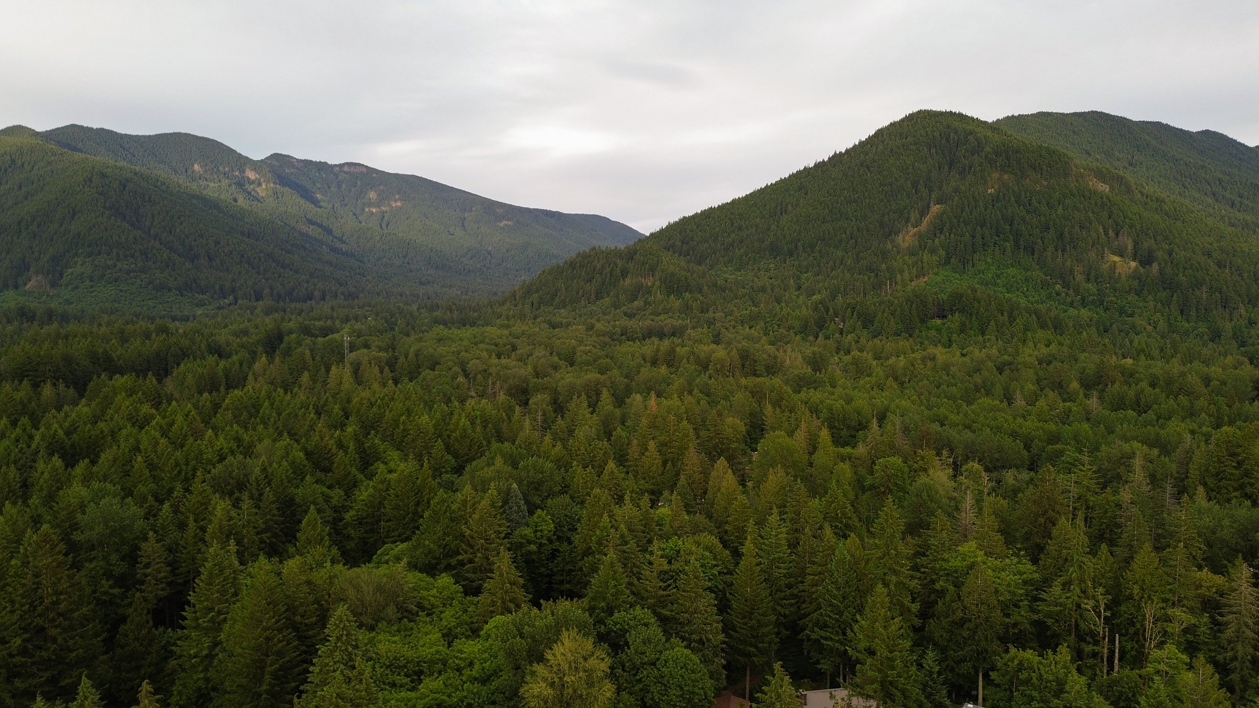DJI_0065.jpg