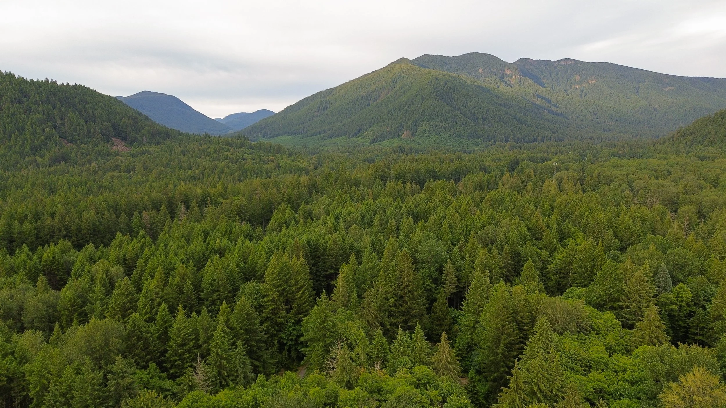 DJI_0064.jpg