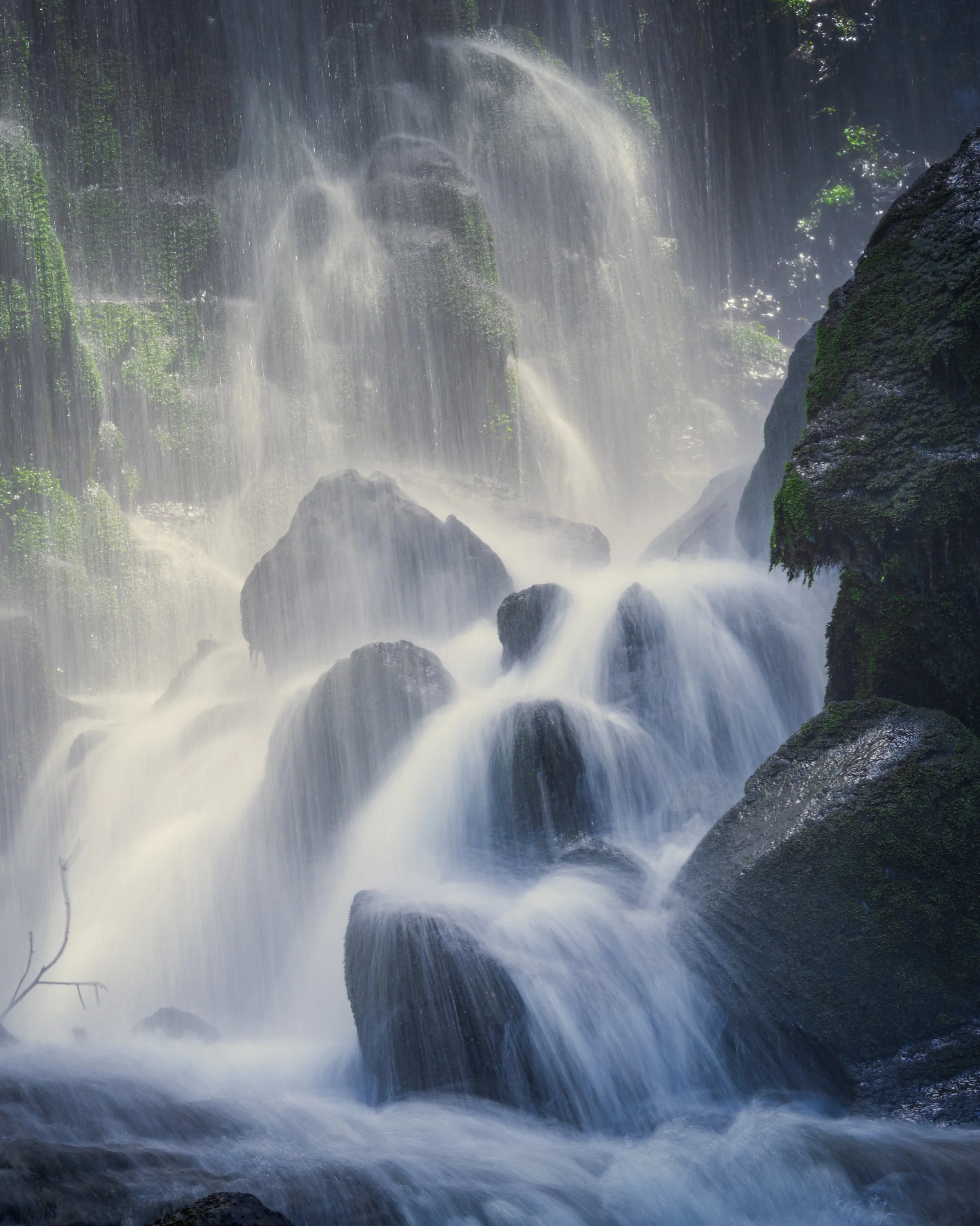 book prints copy 3.jpg