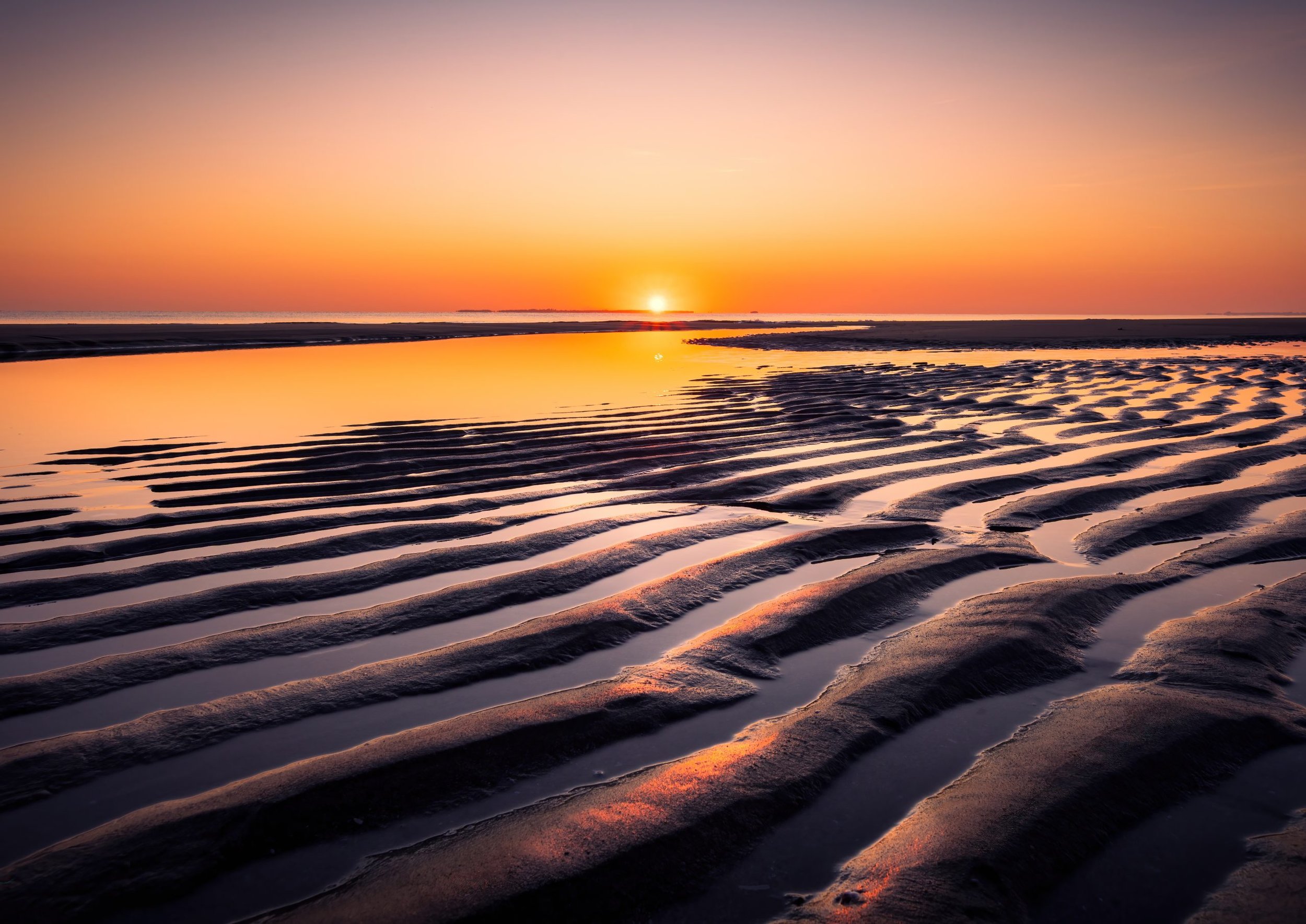 Ripples-2-1-scaled.jpg