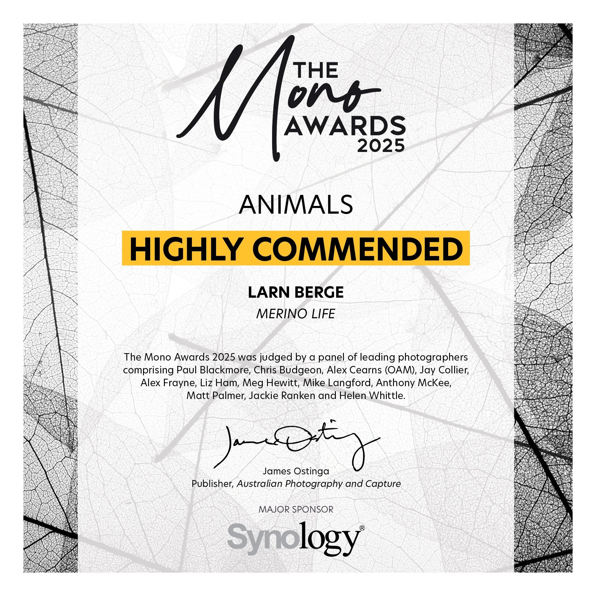The_Mono_Awards_2025_2759.jpeg