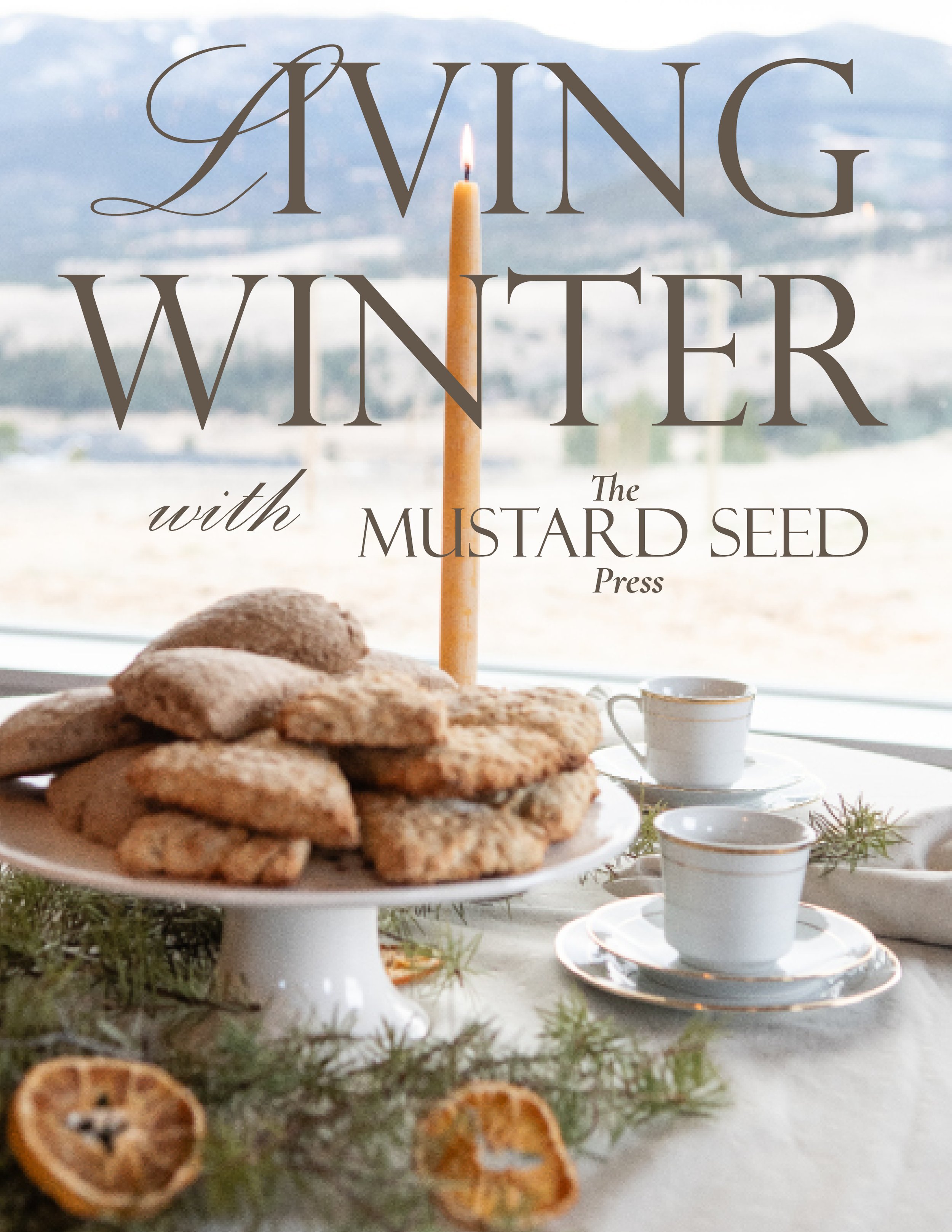 Winter  (74).jpg