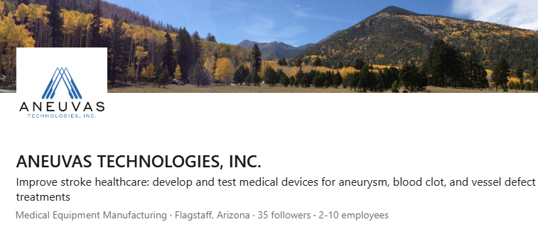 Aneuvas Medical focuses primarily on medical devices that are inserted into the body via small catheters inserted into the blood vessels, Aneuvas’ medical balloons and specific biomaterials help heals brain aneurysms. 