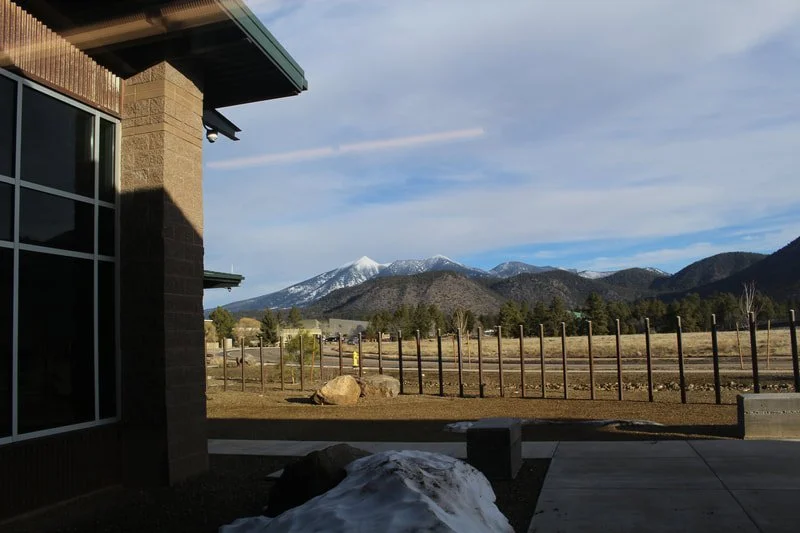View of mountains through window with snow-capped peaks, trees, and a fenced area. Part of a building is visible on the left.