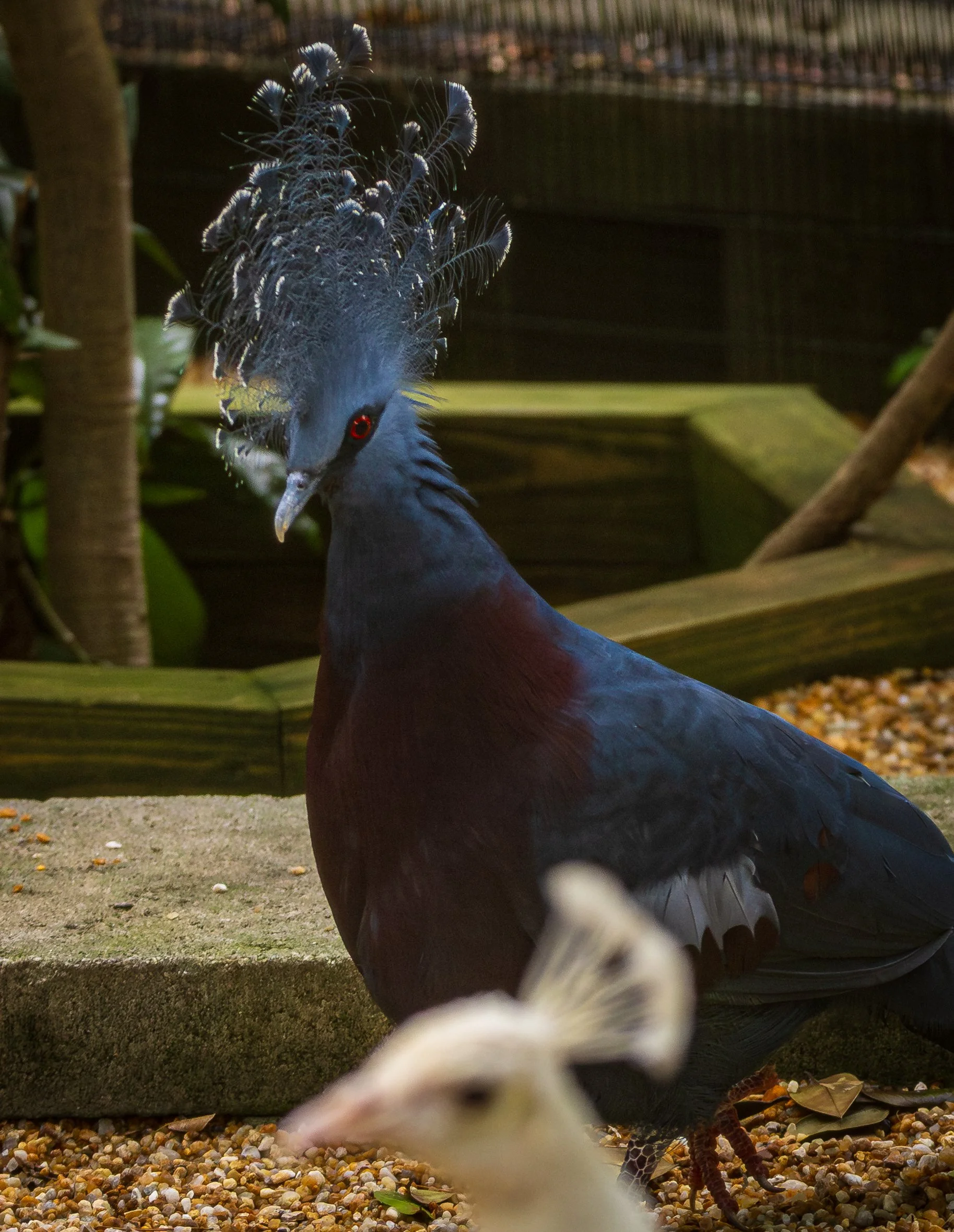 R6R_6027-Enhanced-NR.jpg