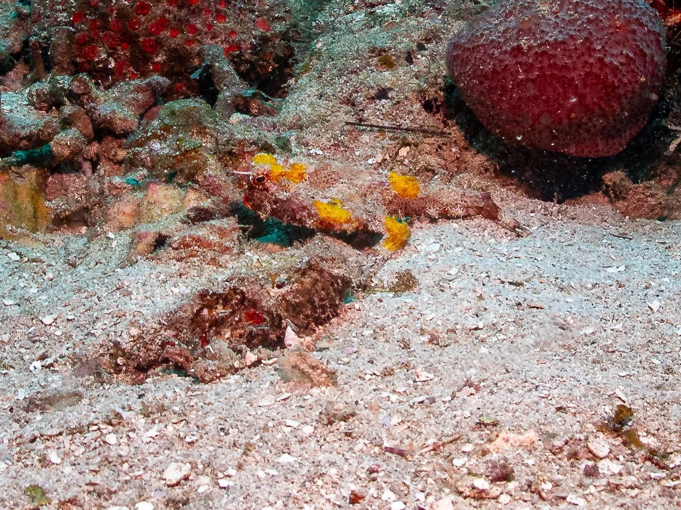 UnderwaterBlues2-5-2.jpg