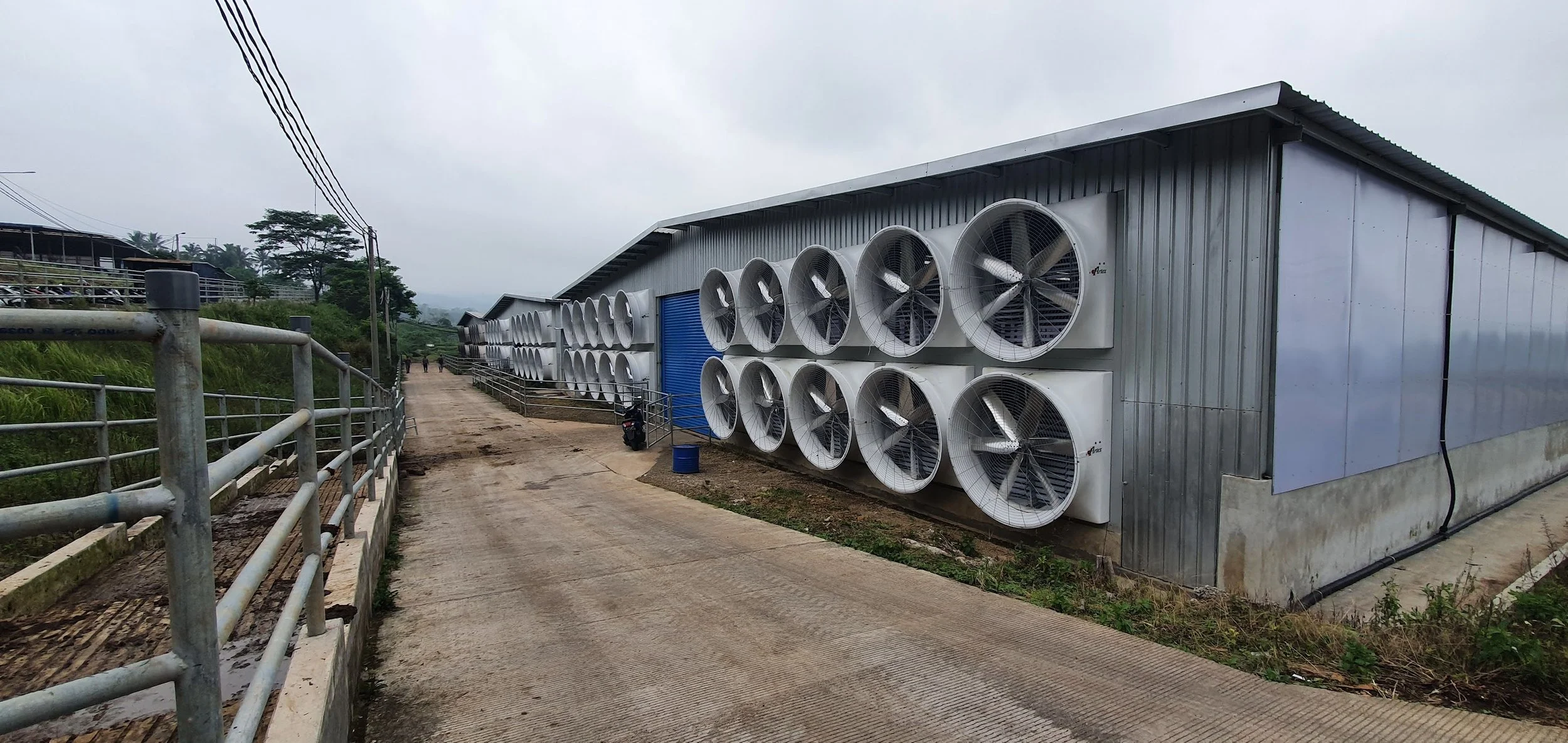 Agrijaya Prima Sukses - Kandang Laktasi