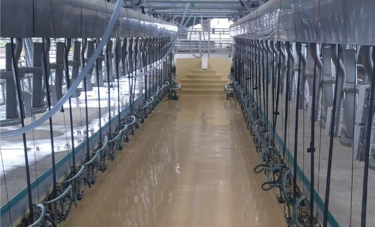 Raffles Pacific Harvest - Parallel Parlour