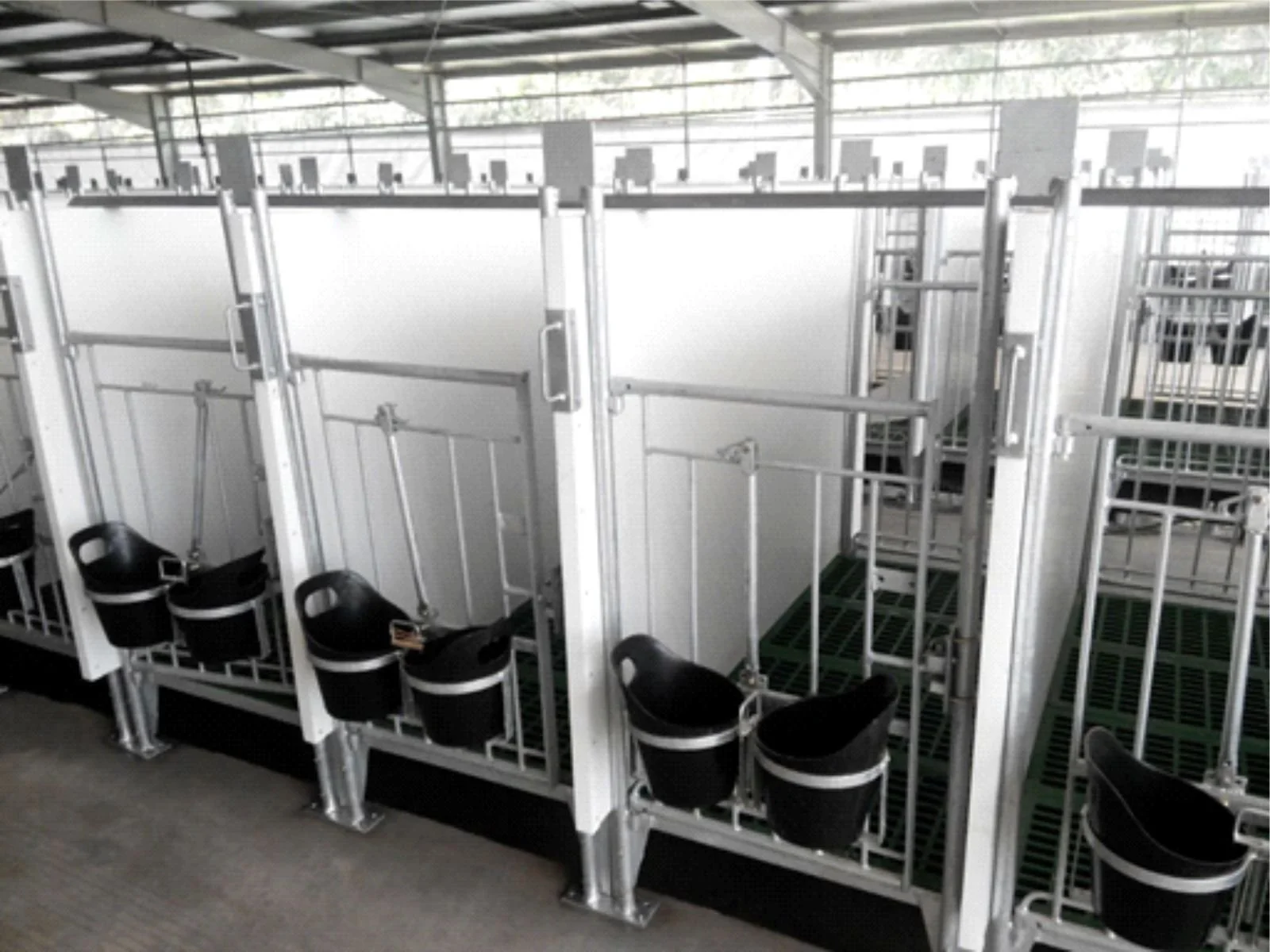 Greenfields - Kandang Pedet