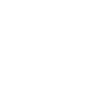premier squarespace website designer award logo, for recognition as an expert squarespace designer in the industry