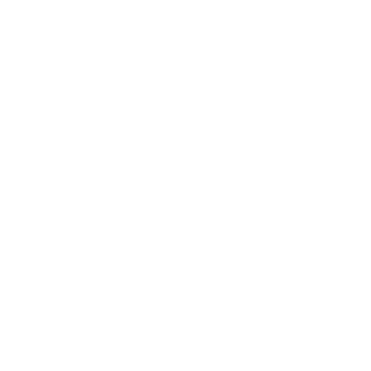 computer icon