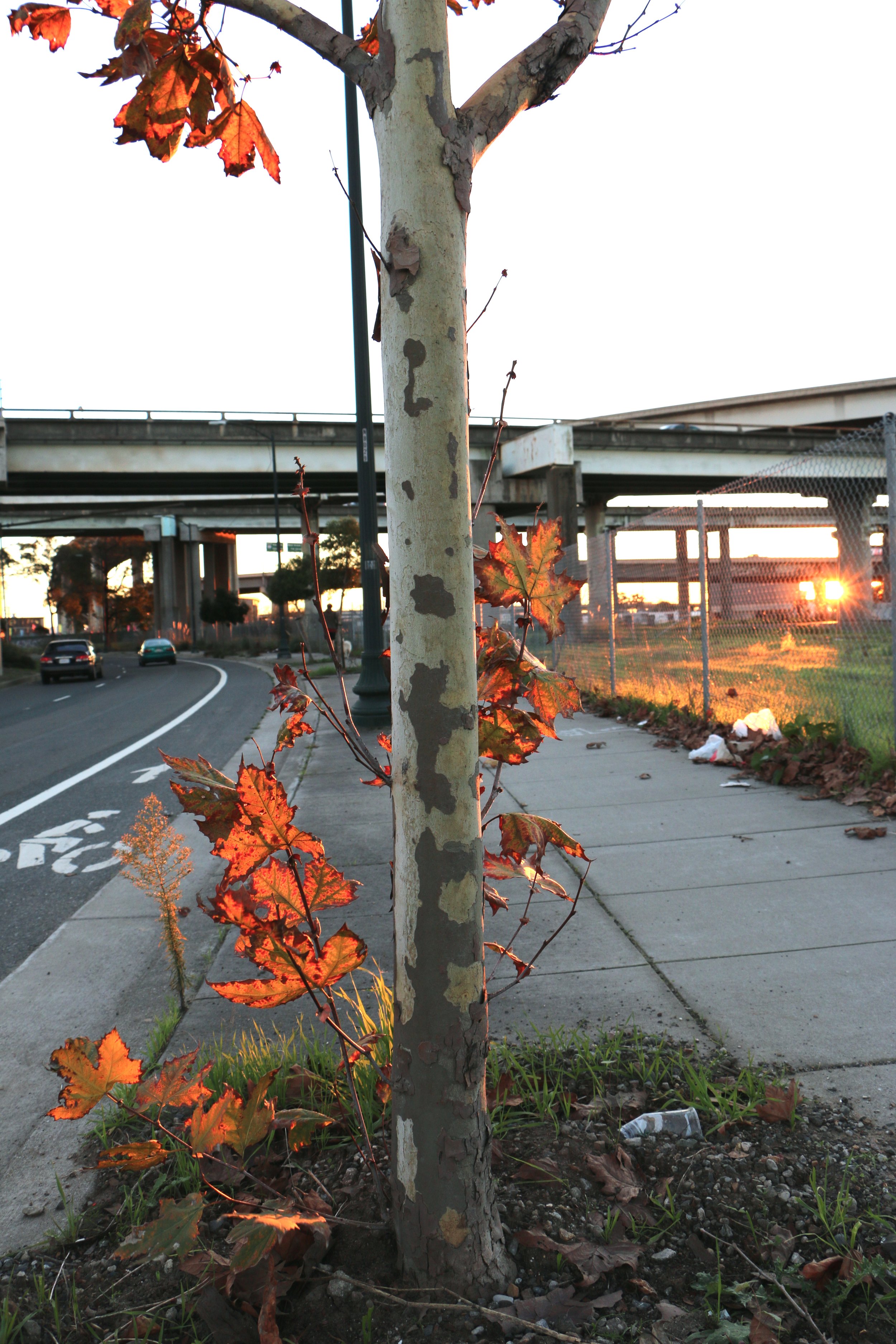 West Oakland, California, 2014