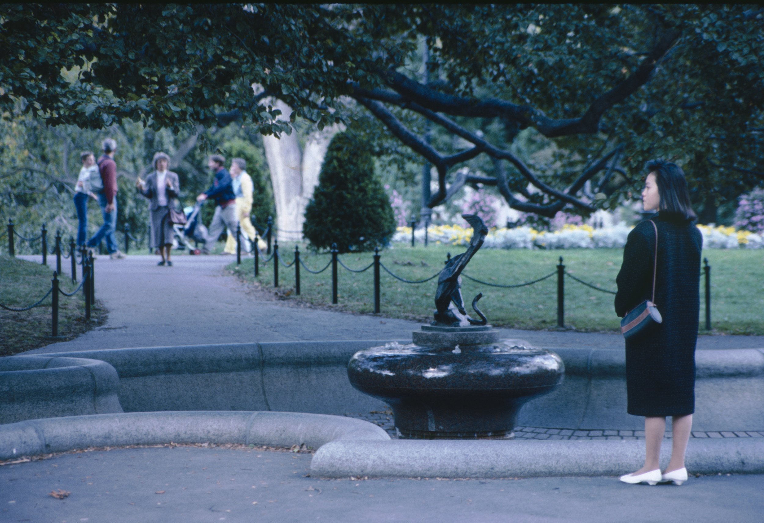 Public Garden Boston .jpg