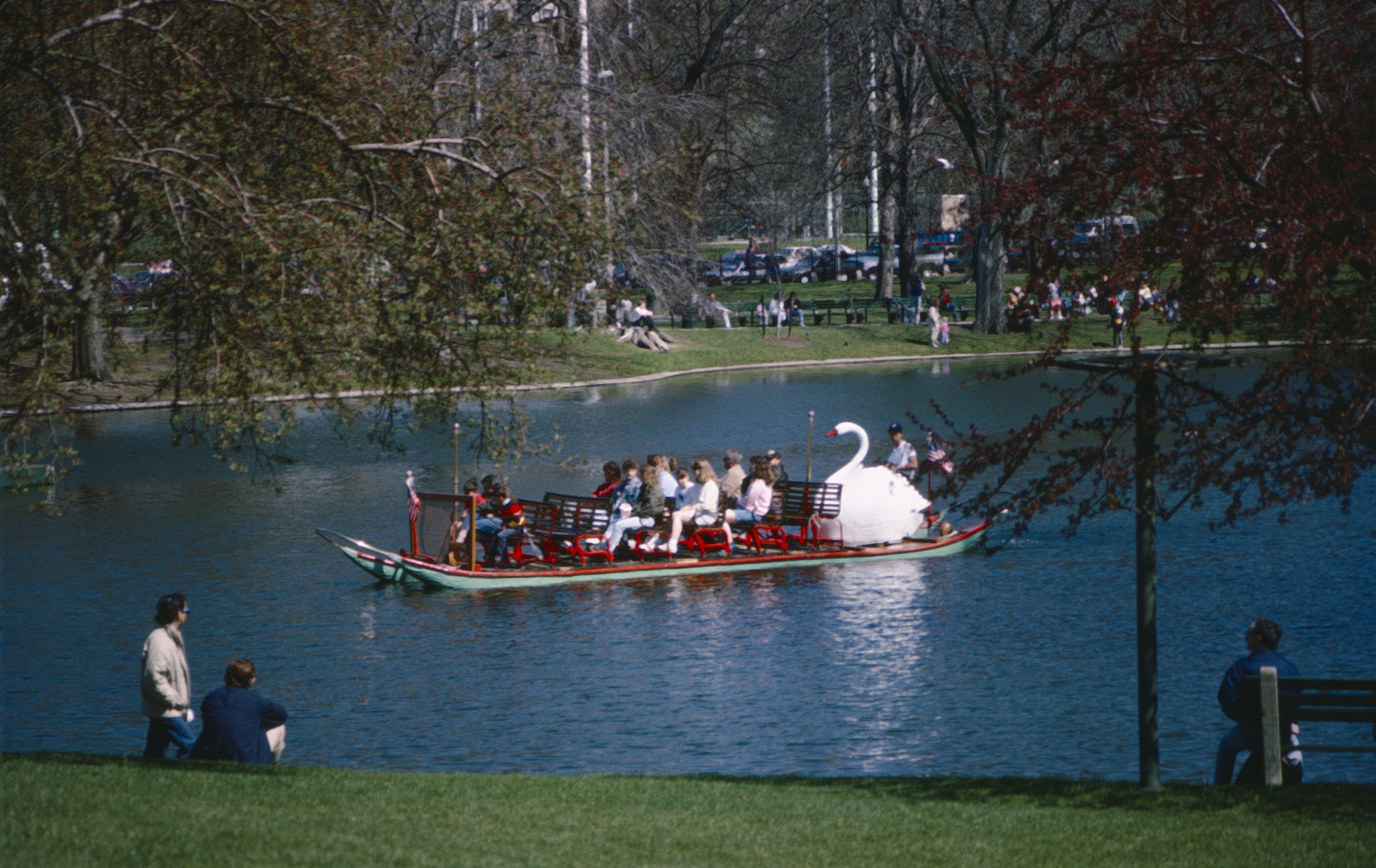 Swan Boats, Public Garden