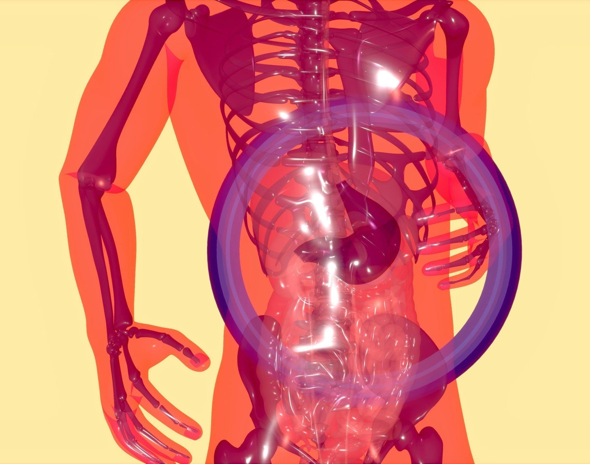 Cartoon X-ray image of the inside of a body