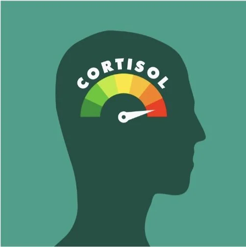 Image 12-6-25 at 3.23 PM (1).jpeg