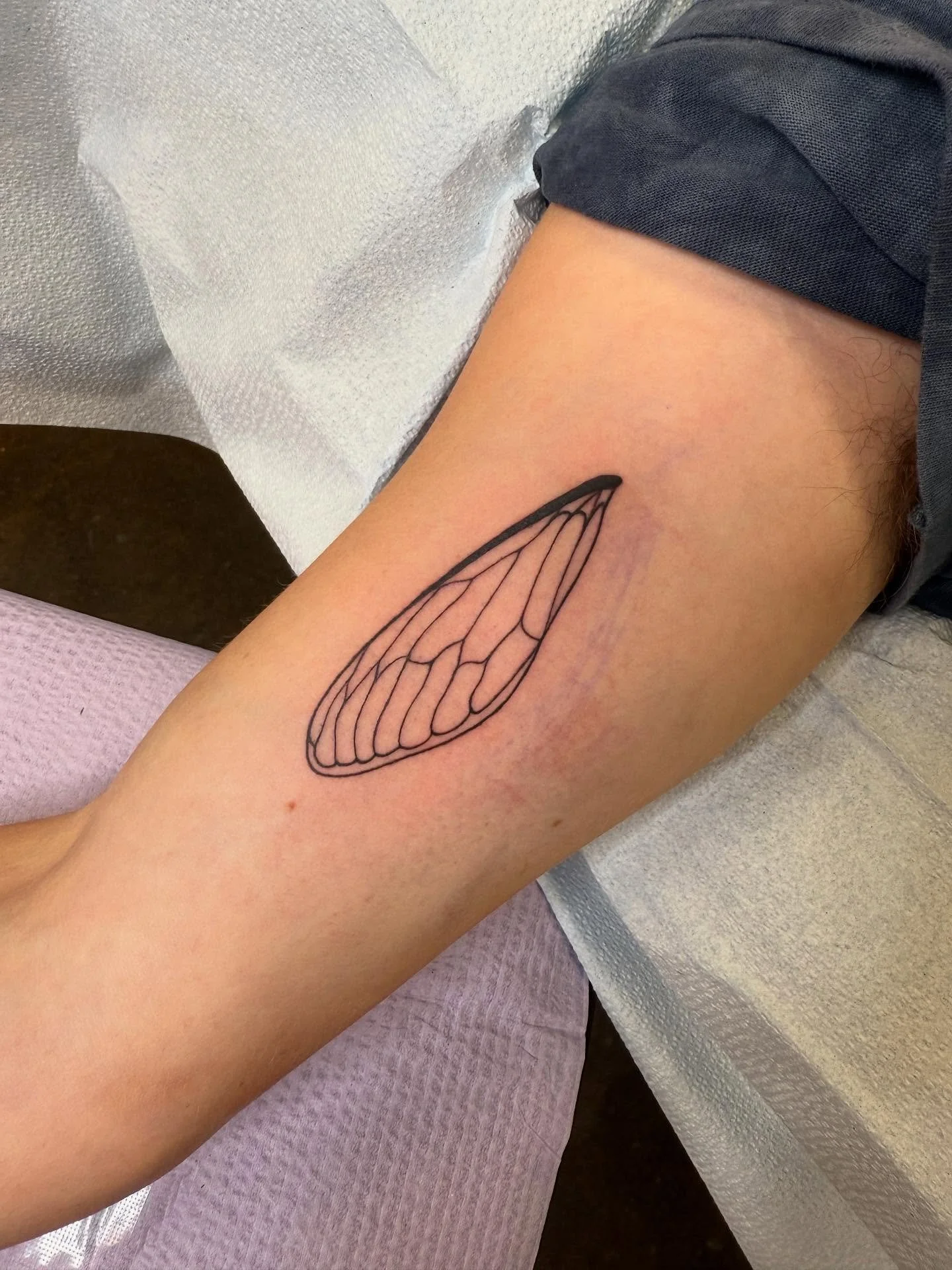 Little cicada wing walk-in from today! ✨