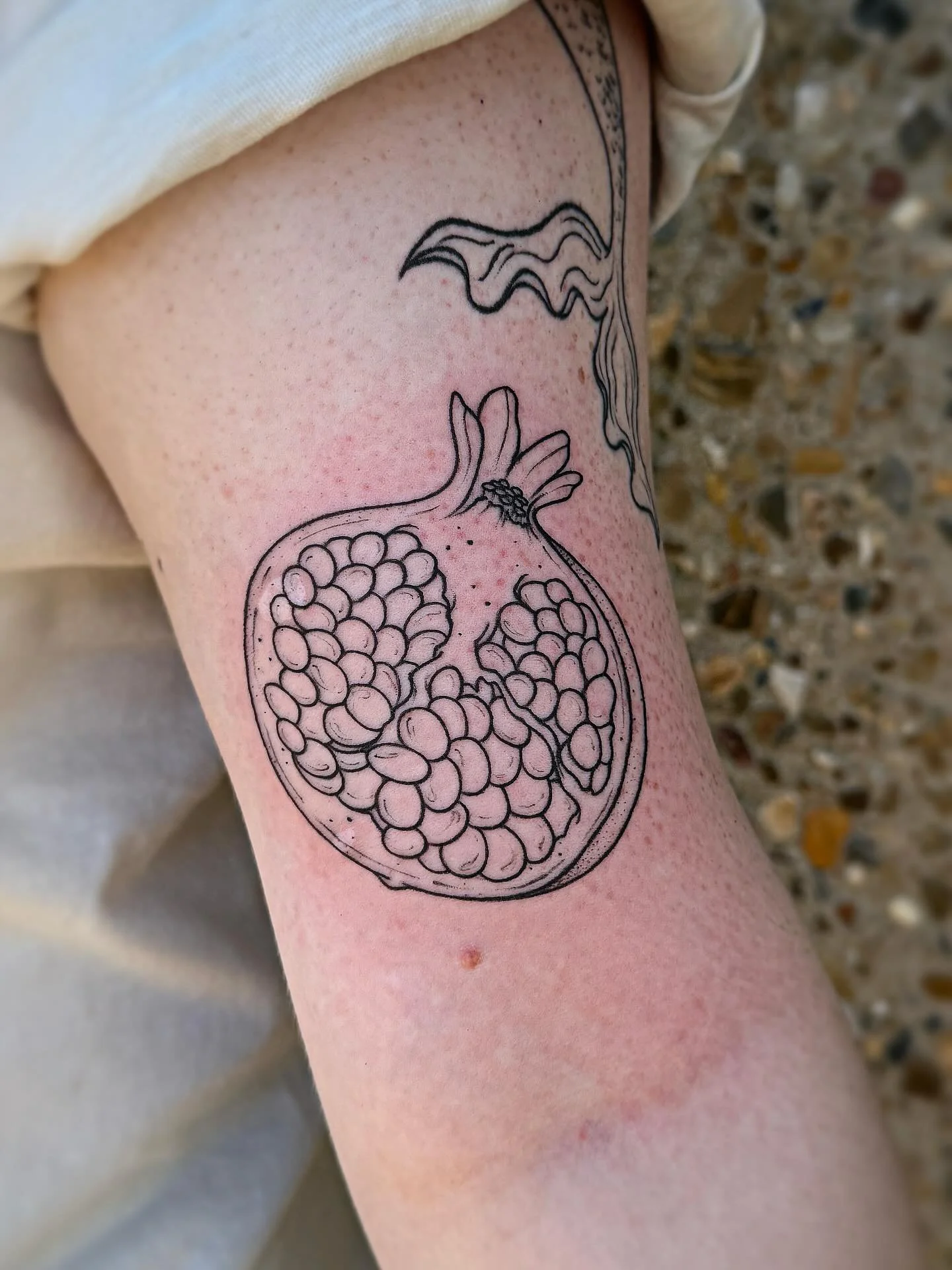 Sweet little pomegranate for one of my favorite clients, @laneemdw &hearts;️&hearts;️&hearts;️

Done at my new private studio, ✨Better Days Tattoo✨