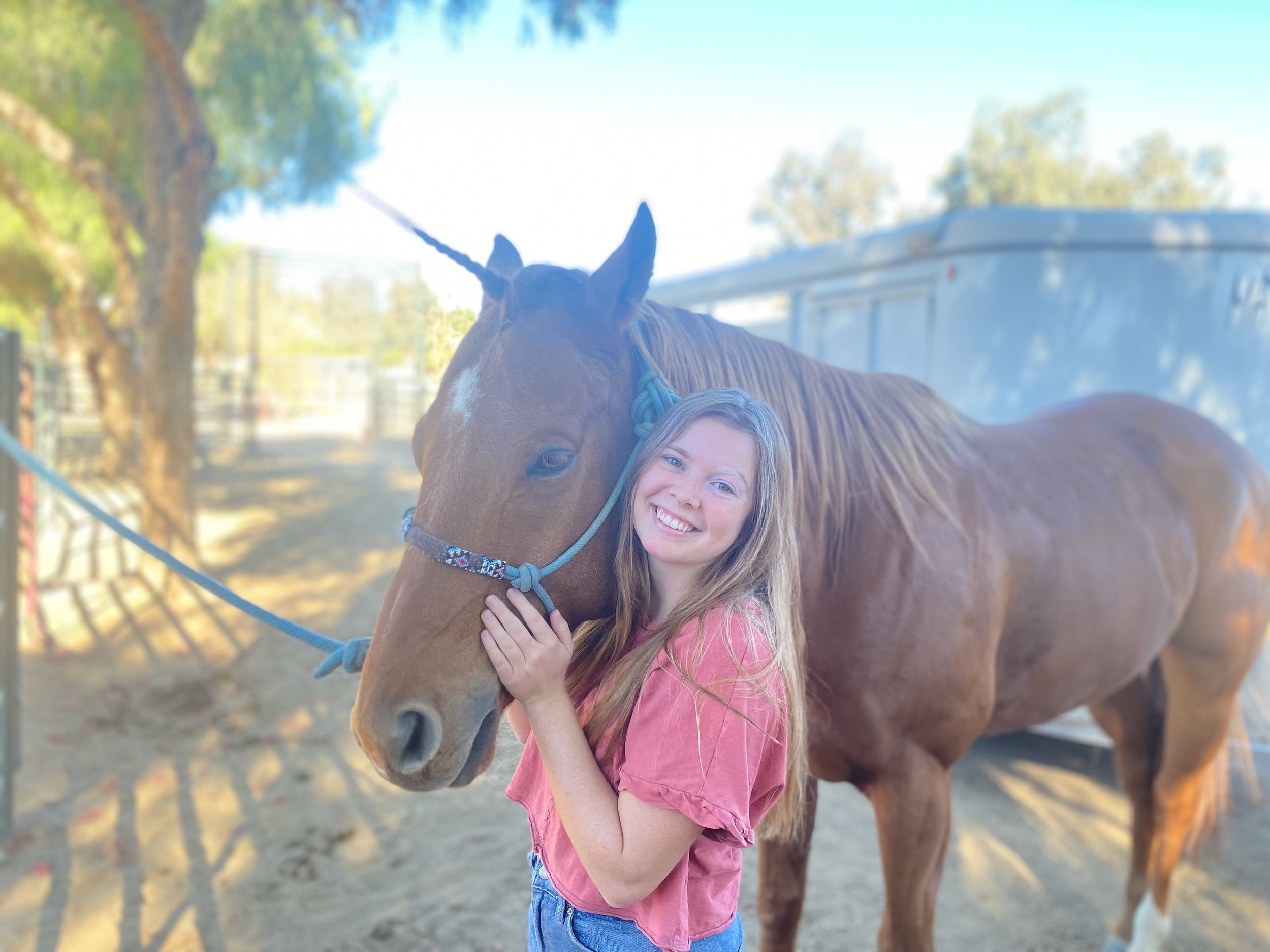 Animal chiropractic, Folsom chiropractic, Family chiropractic, Dog chiropractic, Horse Chiropractic, equine chiropractic, Dr Emily McKillican