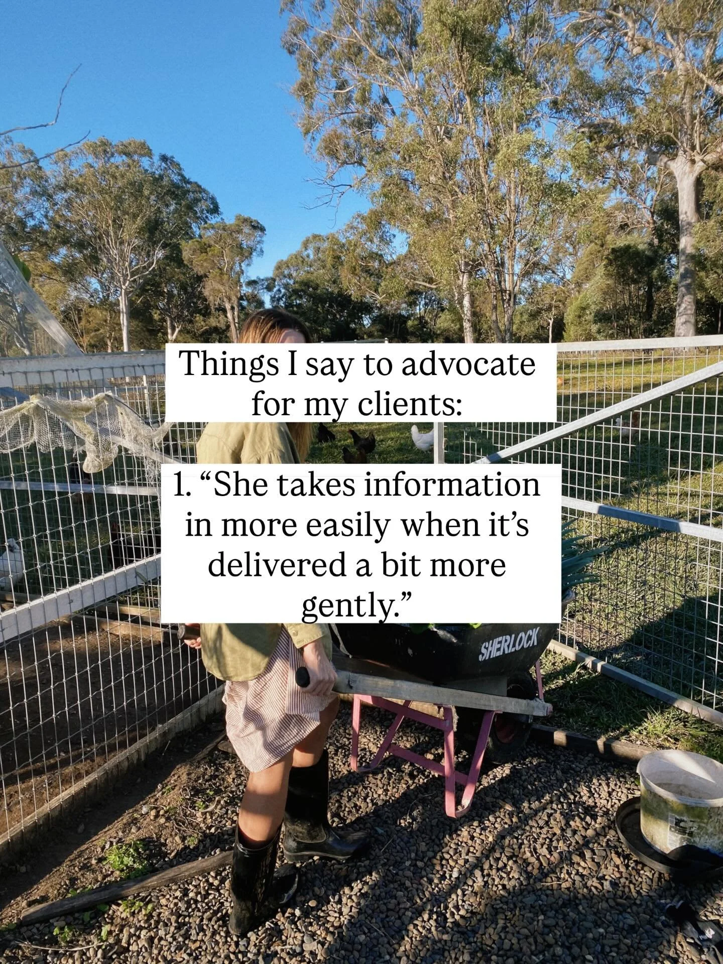 These are some of the phrases I have used at times to advocate for my clients, with the aim of keeping decision-making informed and woman-centred.

I have been in many hospital births where care is respectful, and none of this advocacy is needed. How
