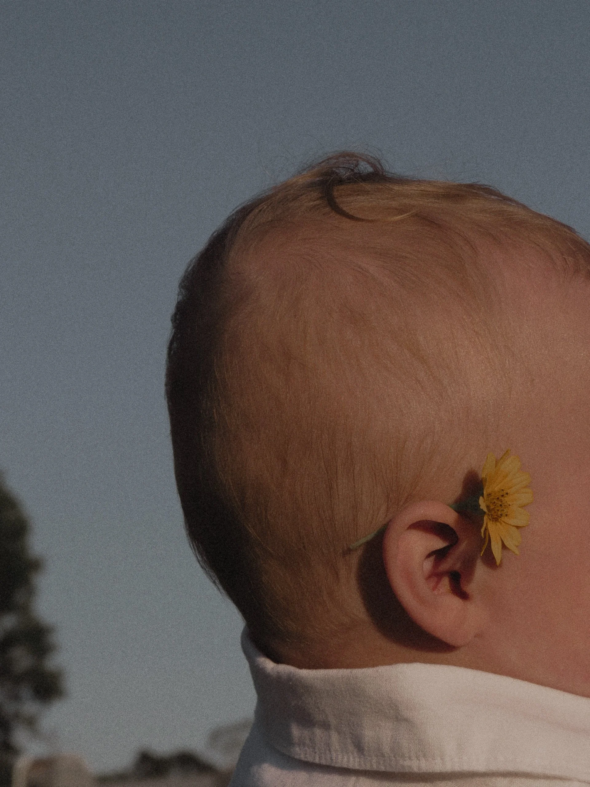 Photo 23-12-2024, 5 44 29 pm.jpg