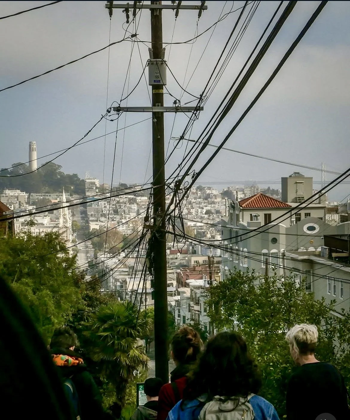 Russian Hill Secret Stairway Hike