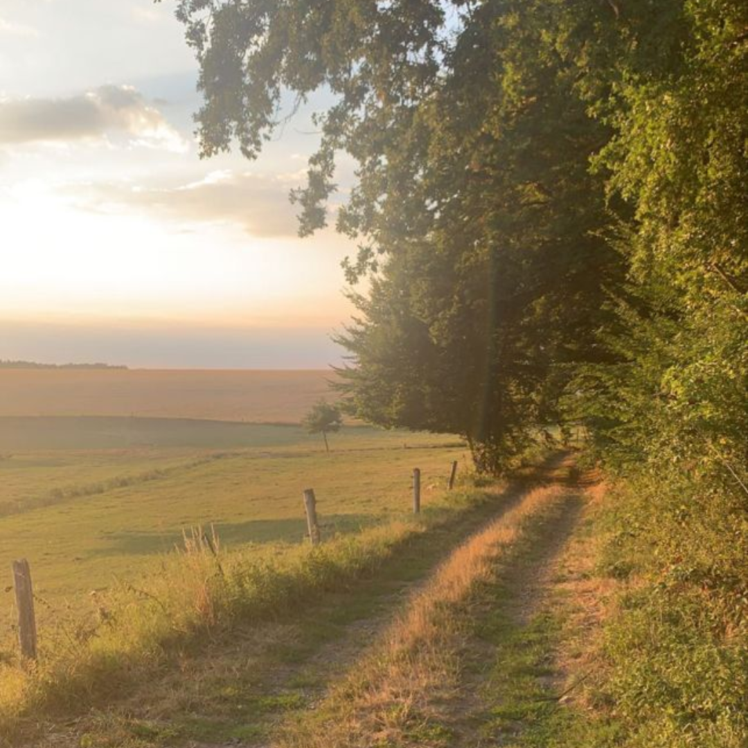 Walk and Talk Therapy: What It Is and Why It Might Be Perfect for You