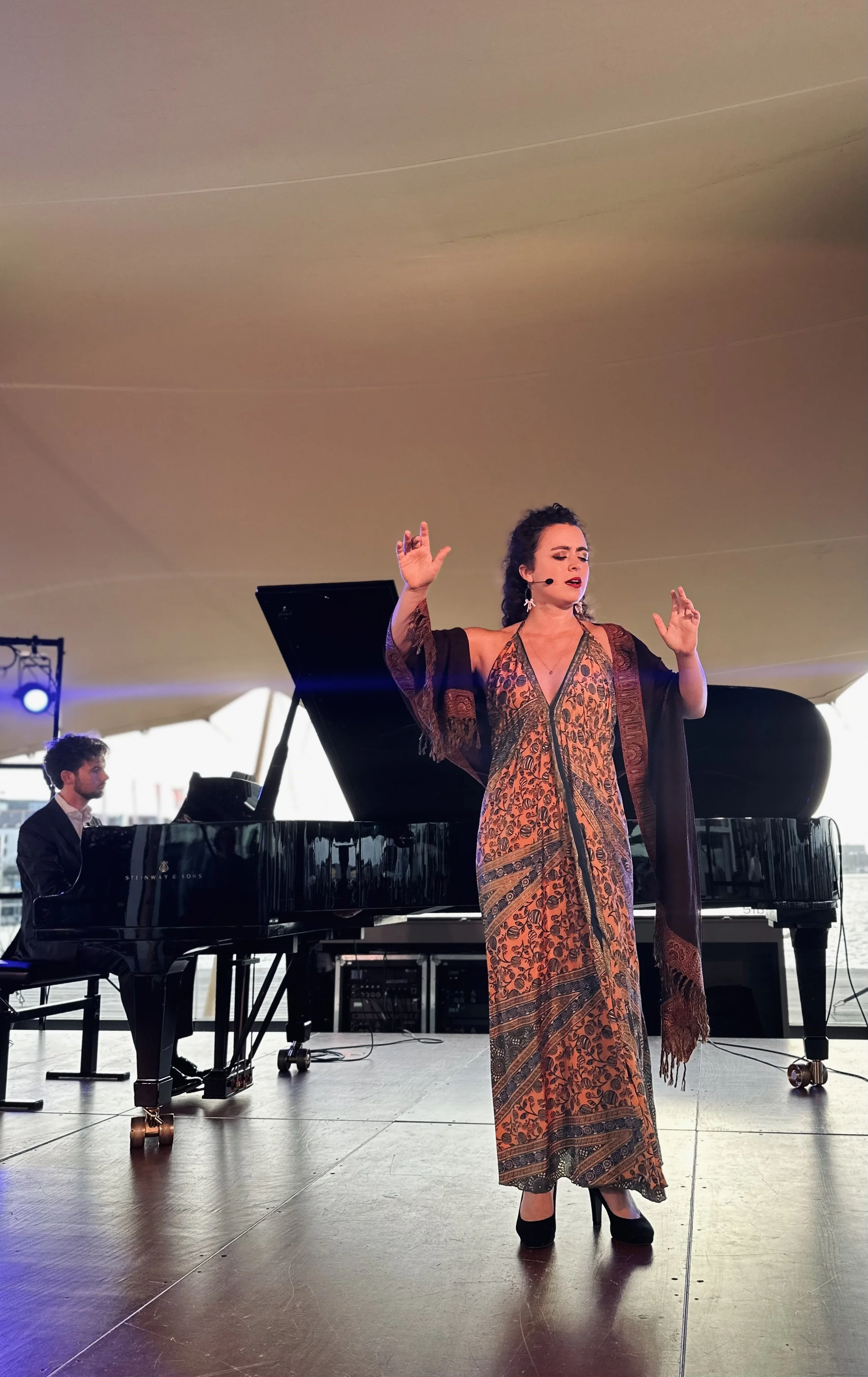 Recital Kasteel van Amerongen 