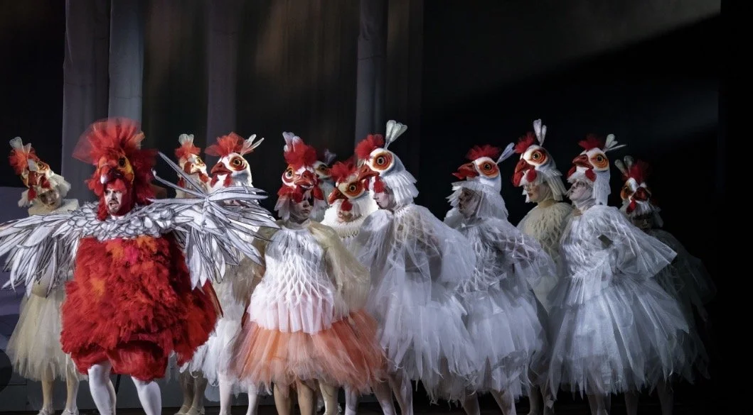 Sluwe vosje - Cunning little vixen - REISOPE